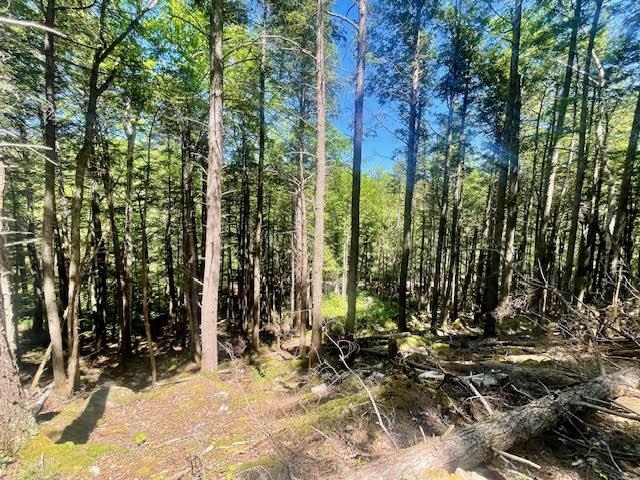 Lot 54-55 Hannah Road