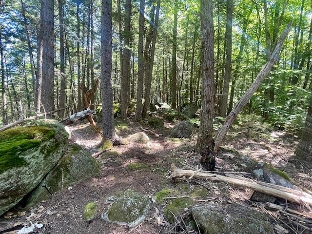 Lot 54-55 Hannah Road