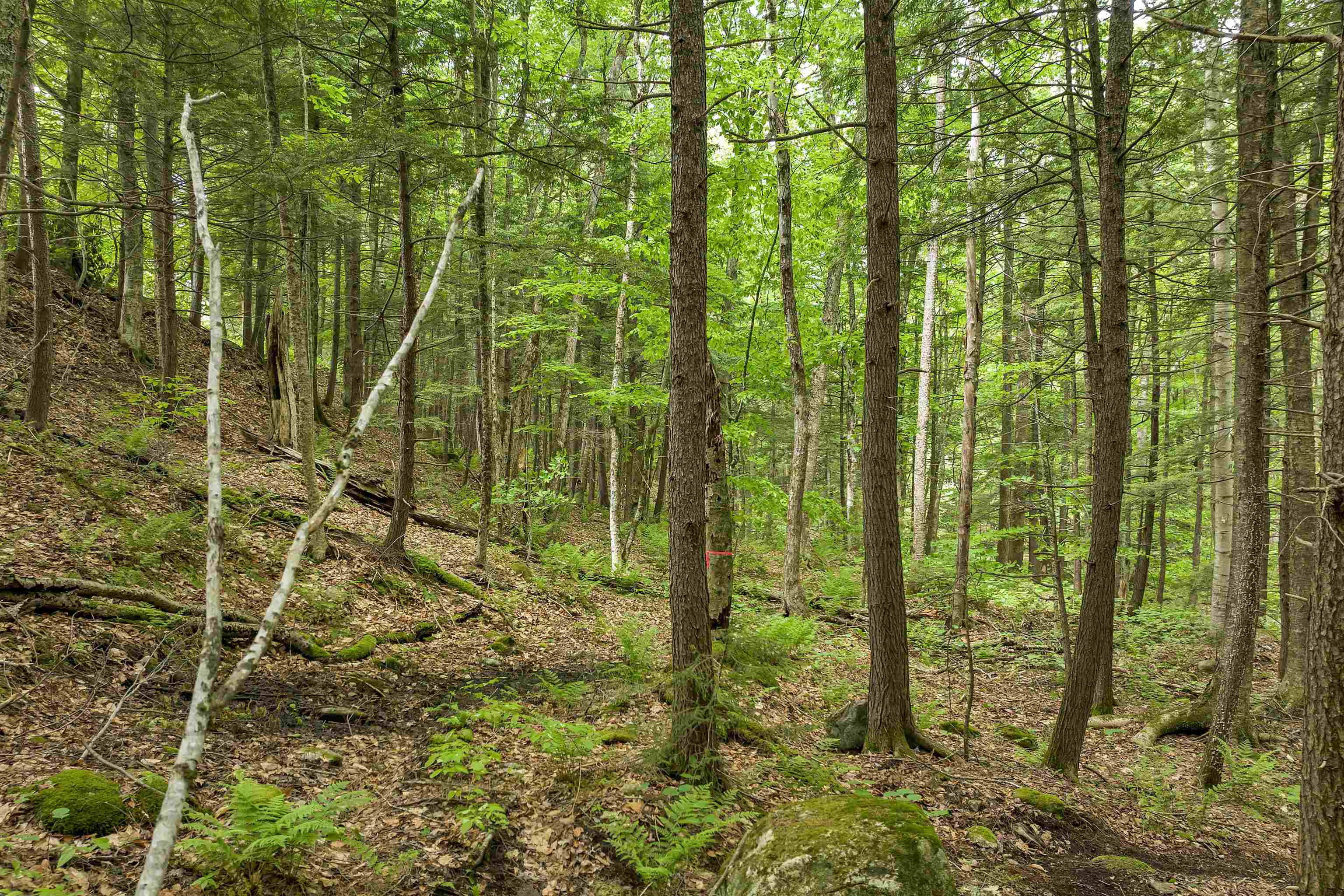 Lot 54-55 Hannah Road