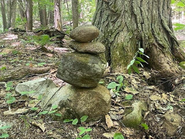 Lot 54-55 Hannah Road