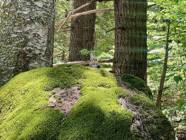 Lot 54-55 Hannah Road