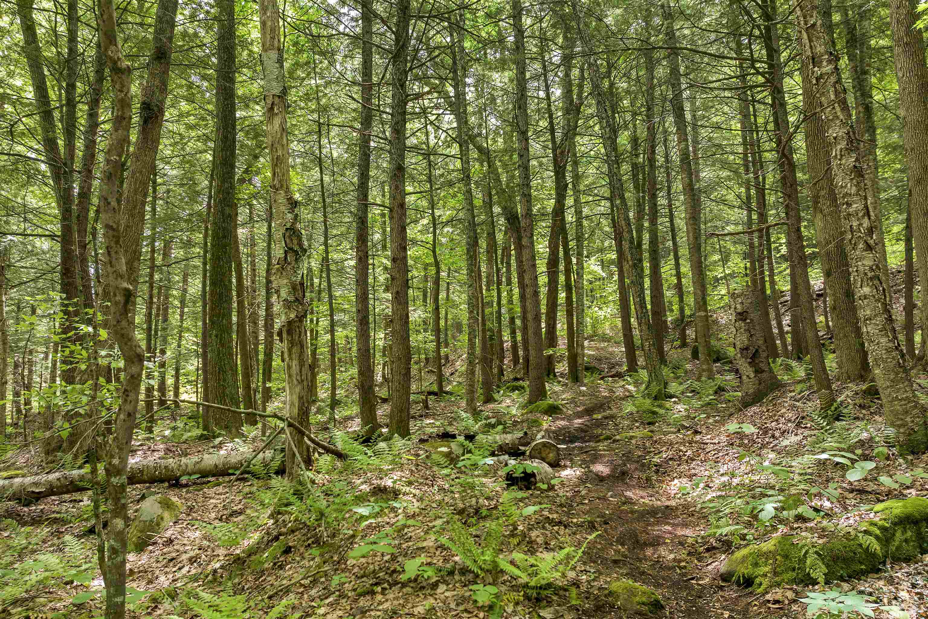 Lot 54-55 Hannah Road