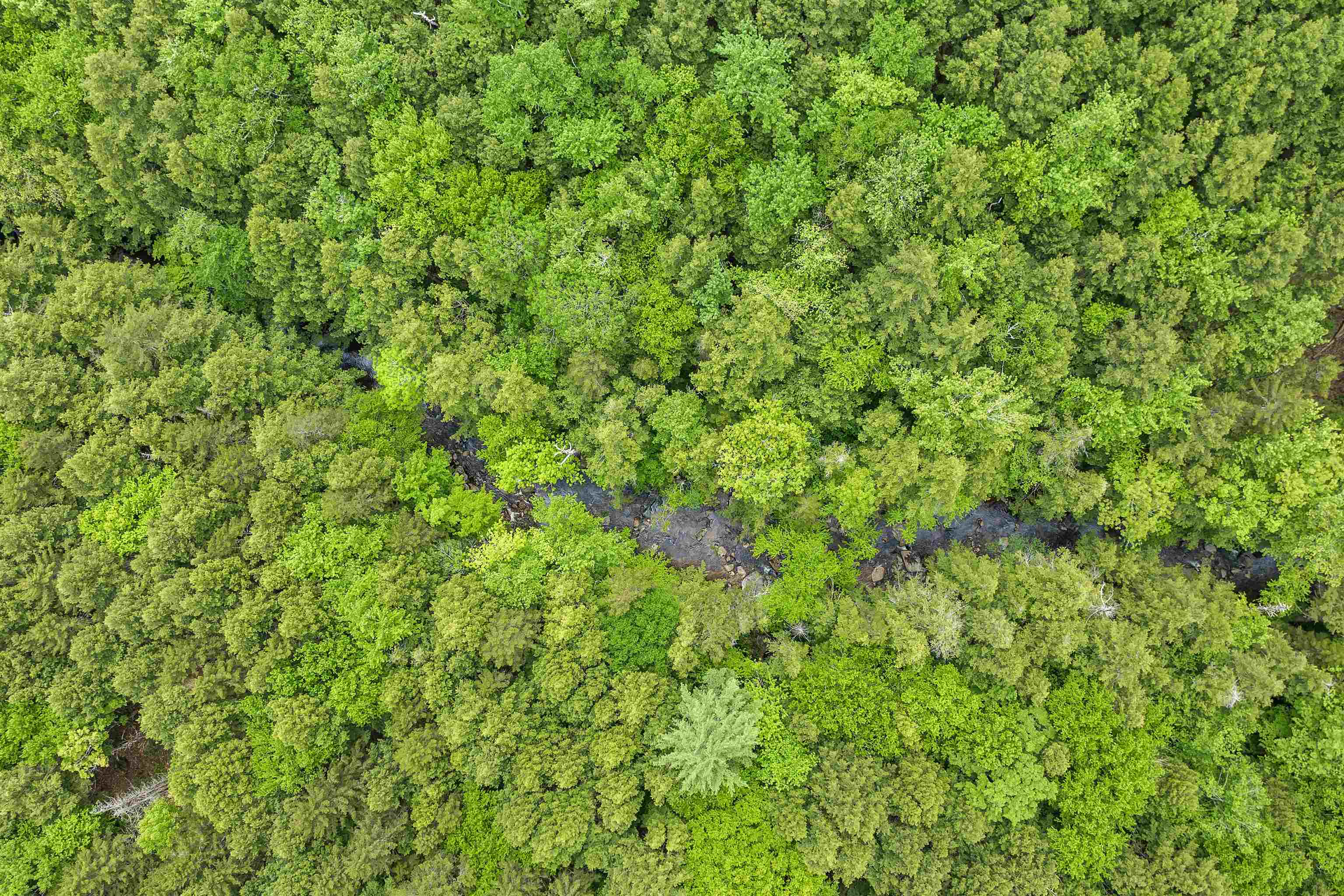 Lot 54-55 Hannah Road