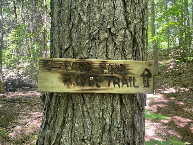 Lot 54-55 Hannah Road