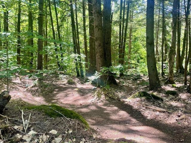 Lot 54-55 Hannah Road