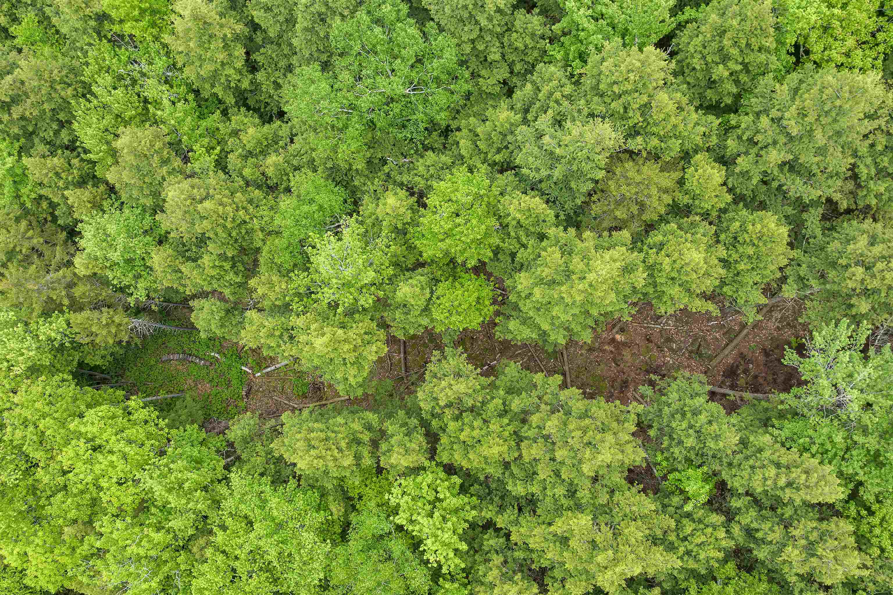 Lot 54-55 Hannah Road