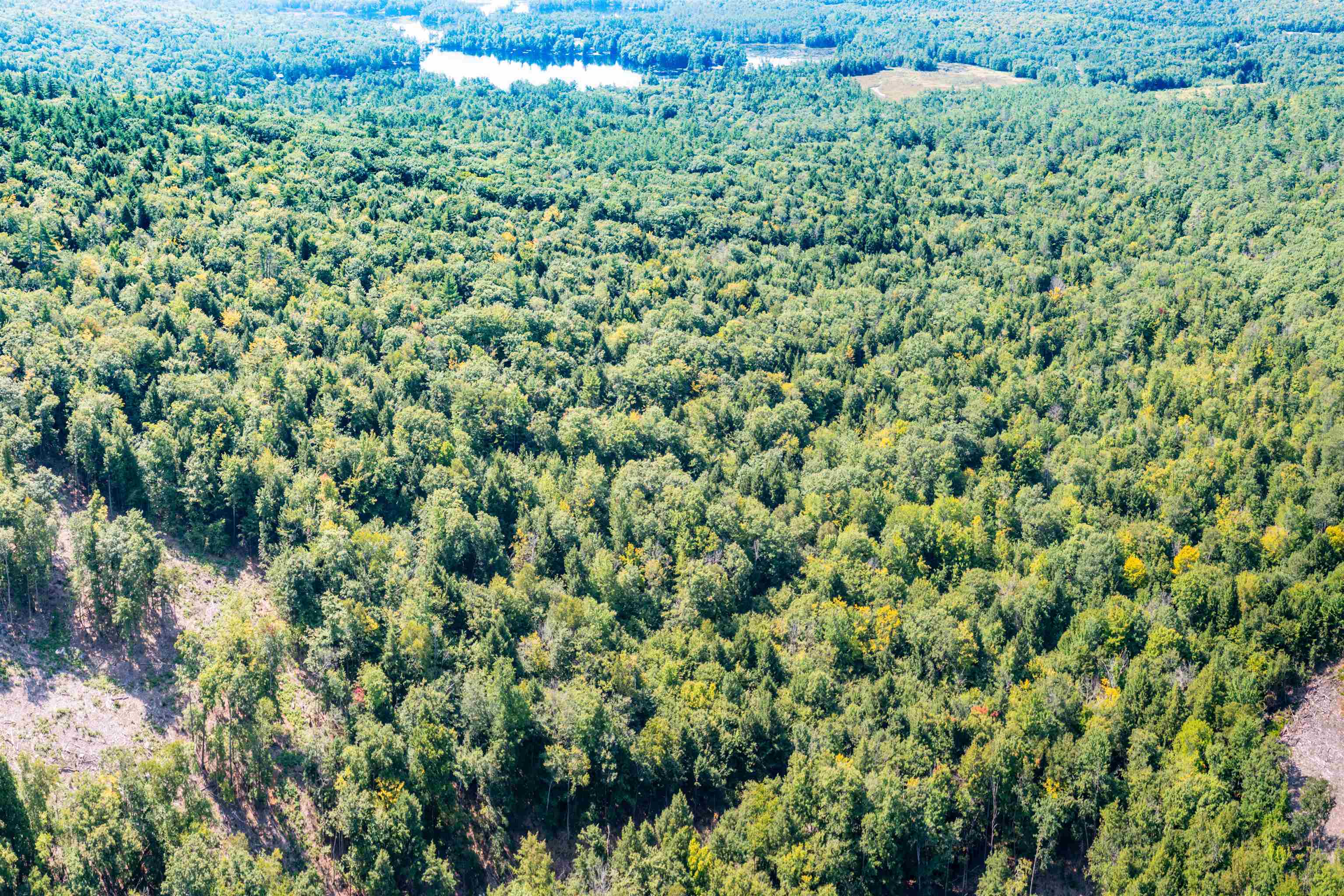 36-3 Checkerberry Lane