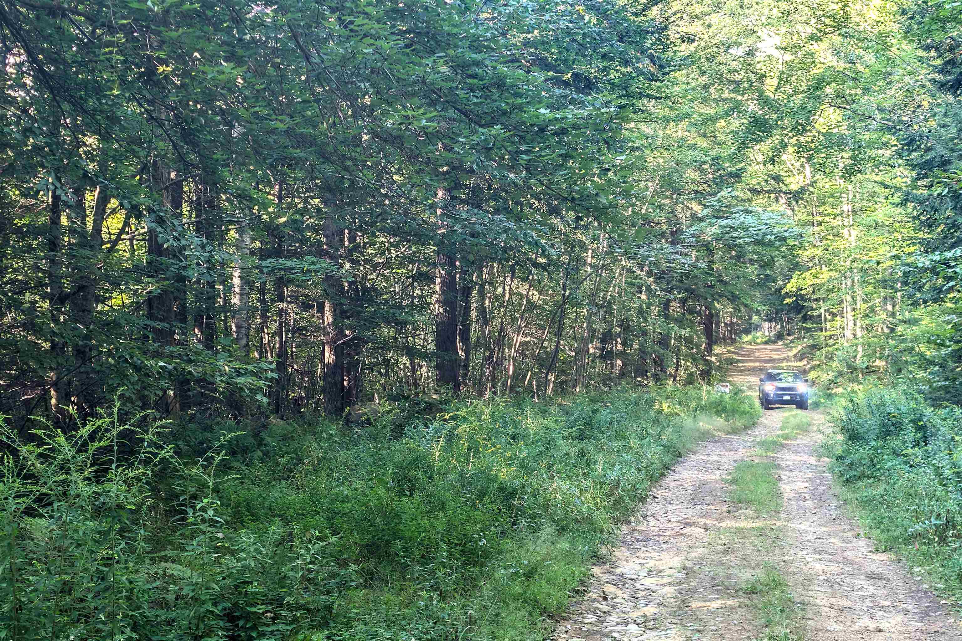 36-3 Checkerberry Lane