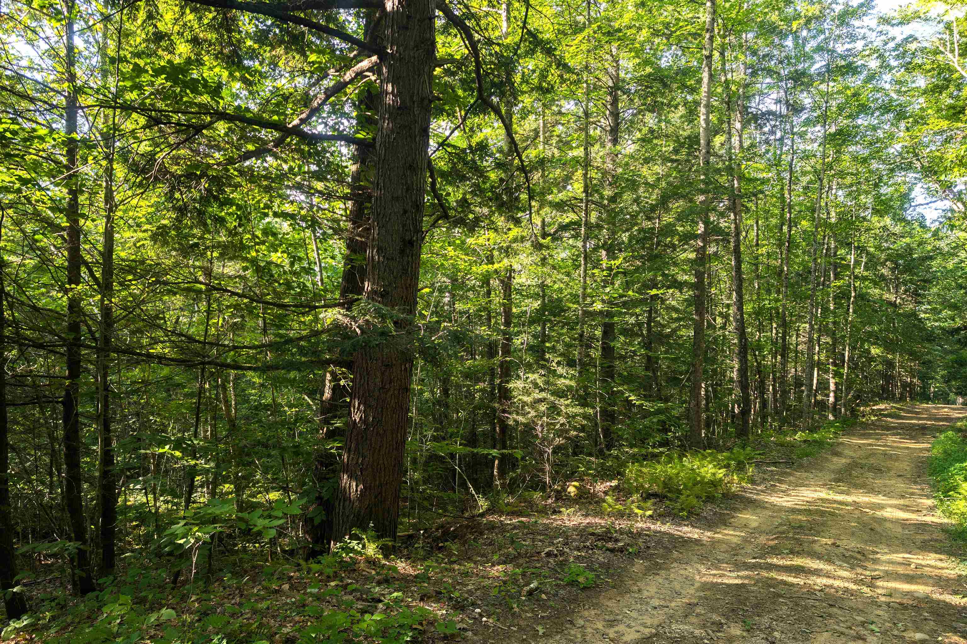 36-3 Checkerberry Lane