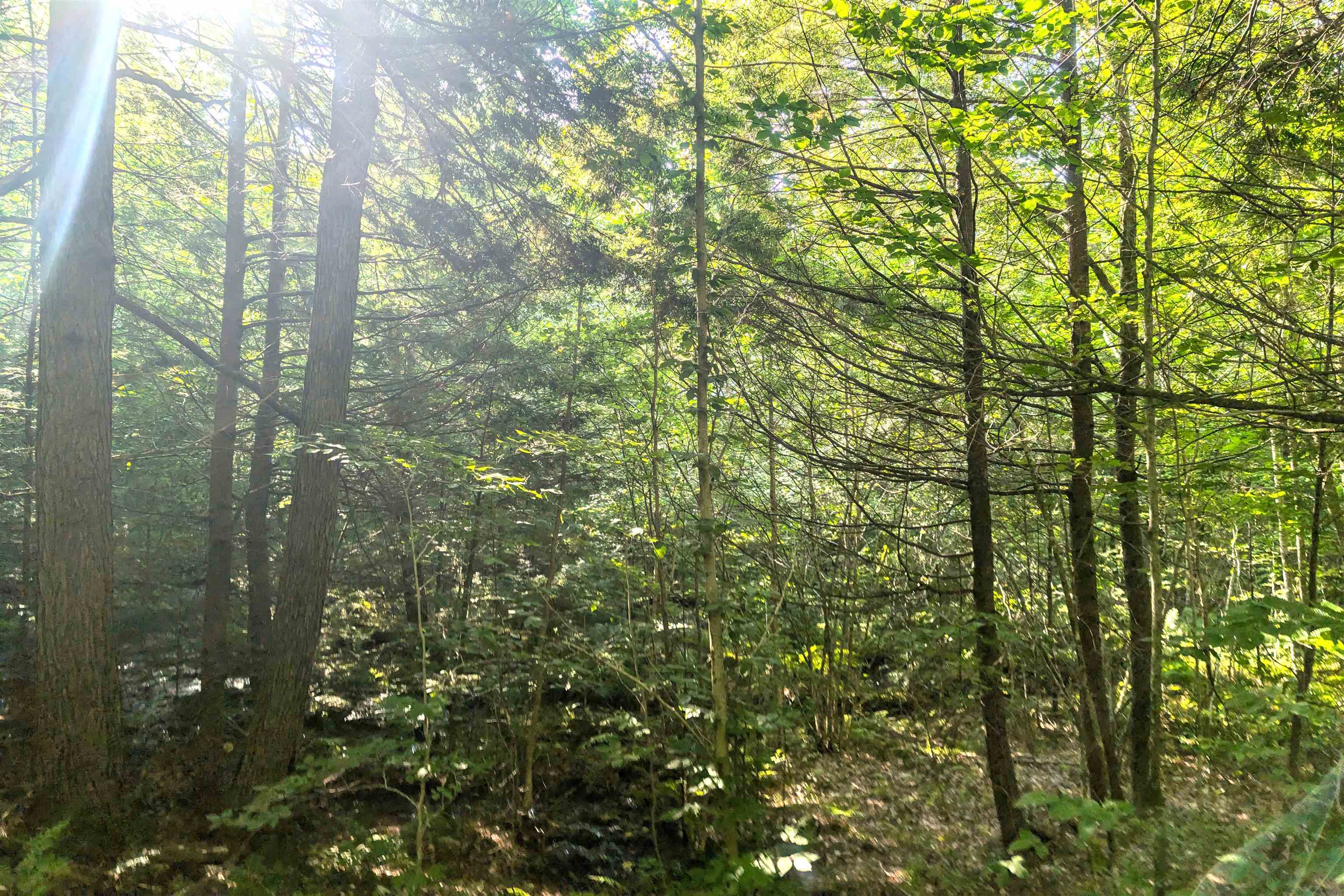 36-3 Checkerberry Lane