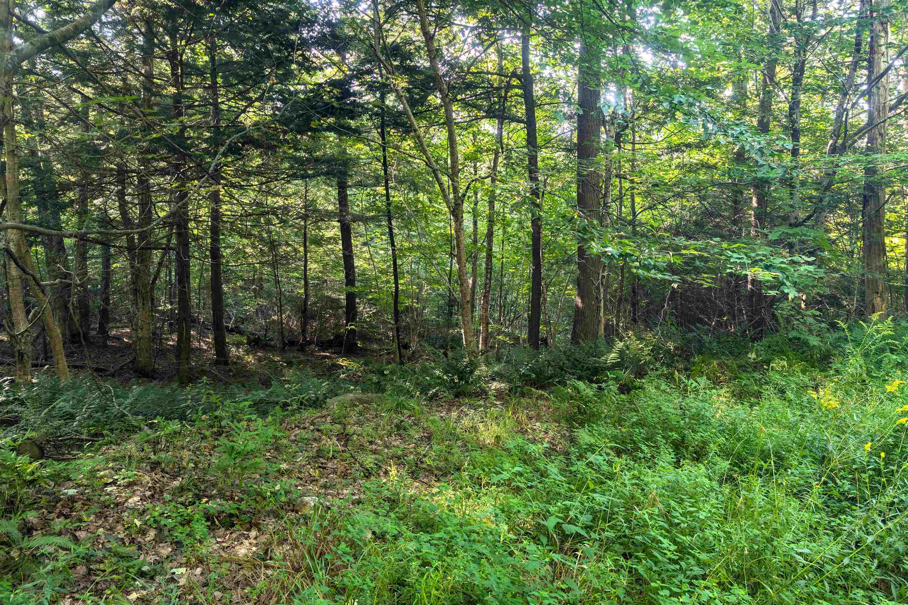 36-3 Checkerberry Lane