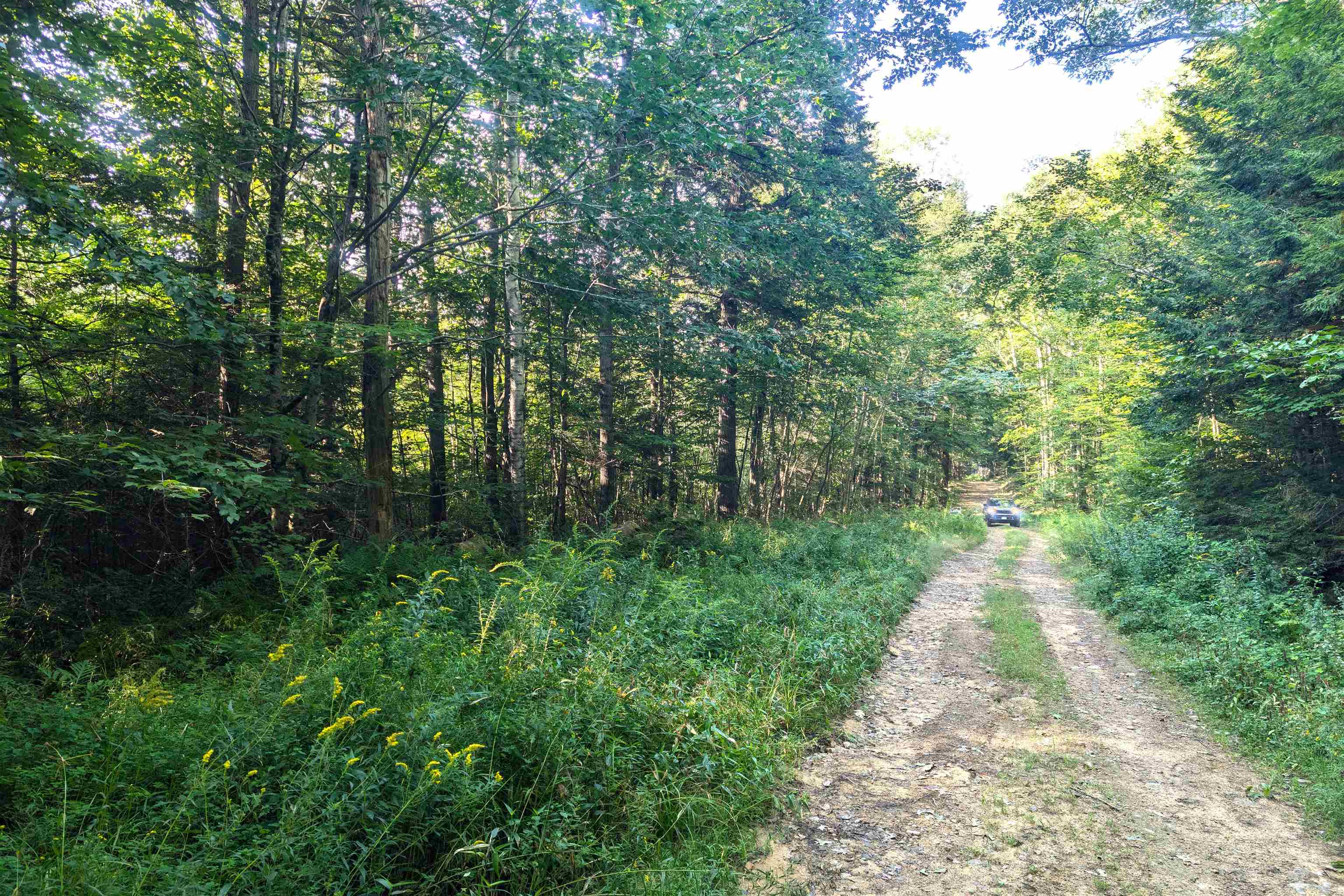 36-3 Checkerberry Lane