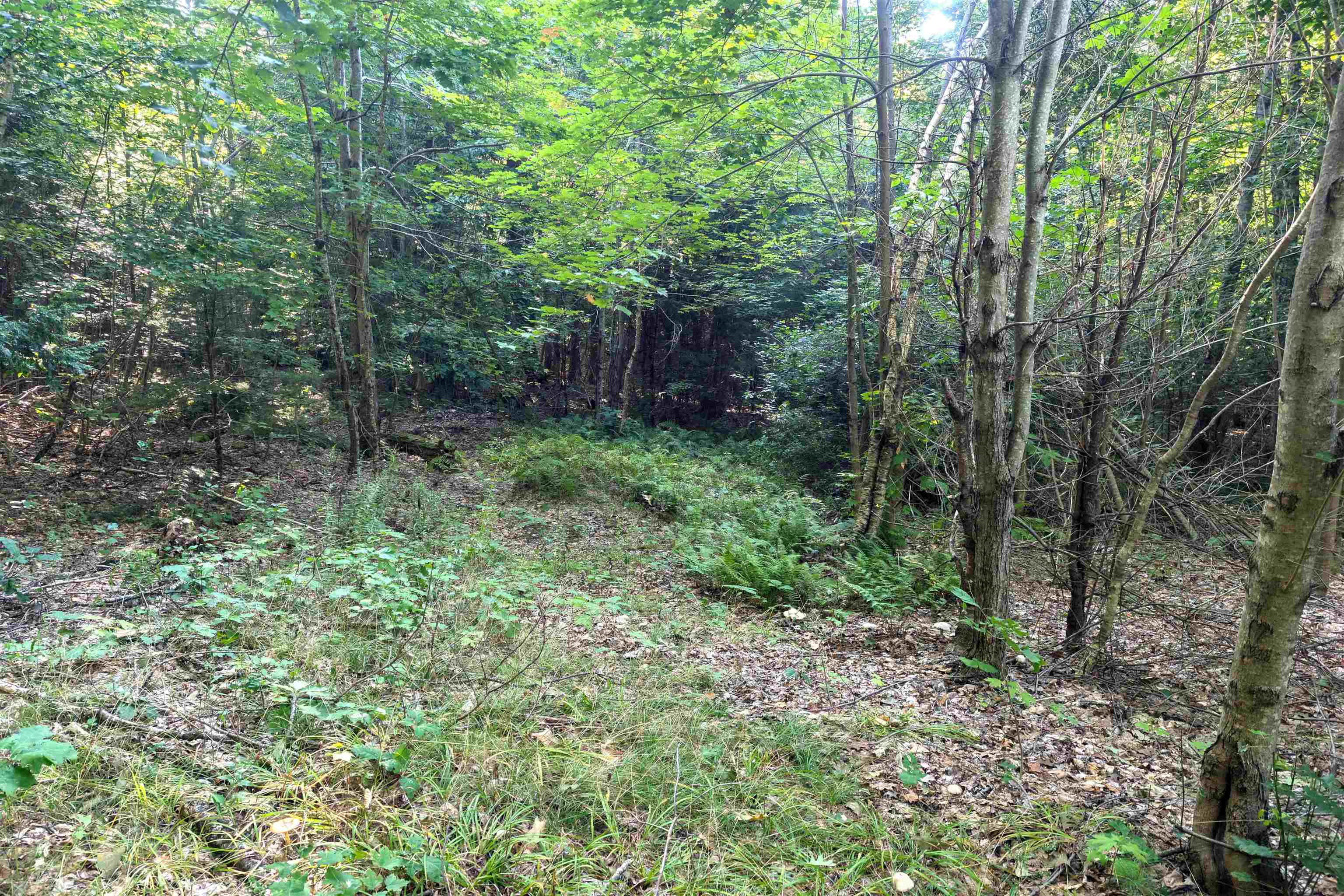 36-3 Checkerberry Lane