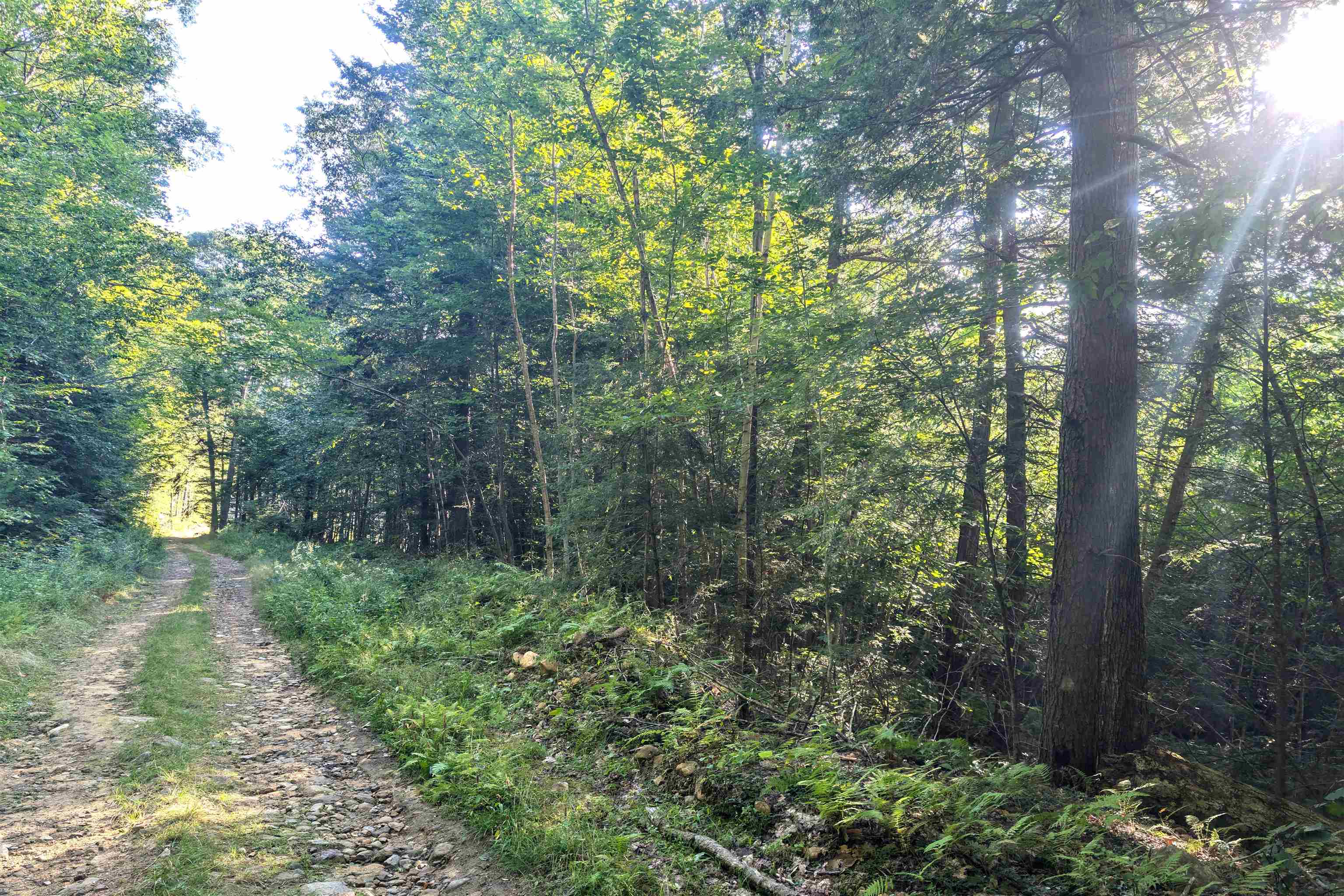 36-3 Checkerberry Lane