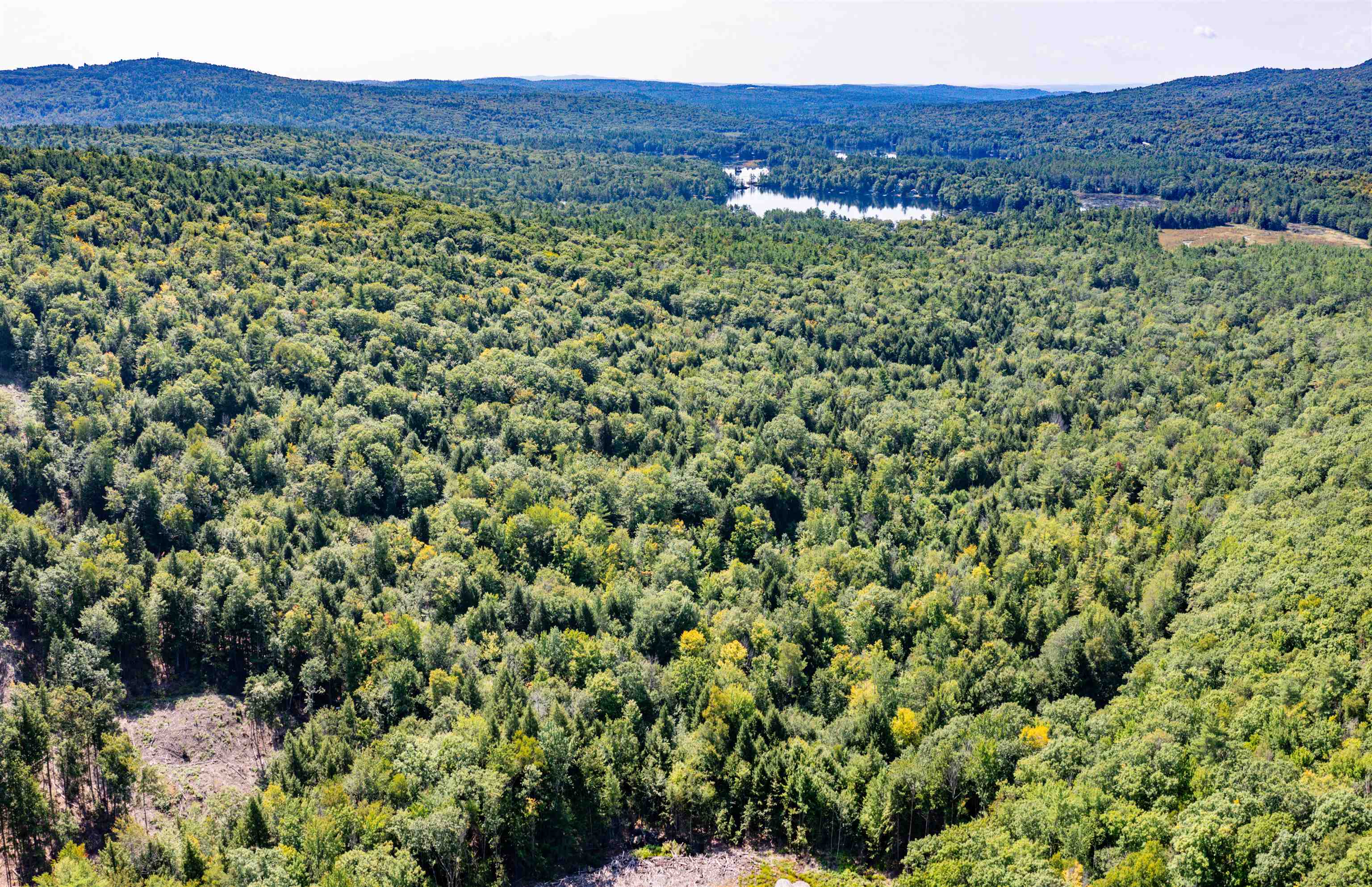 36-3 Checkerberry Lane