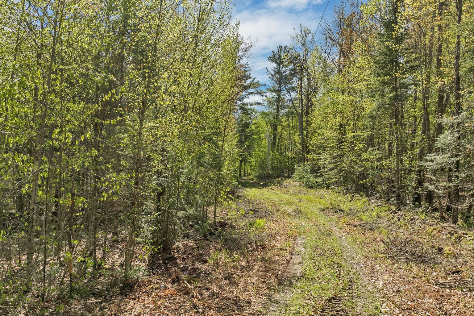 113 Federal Corner Road