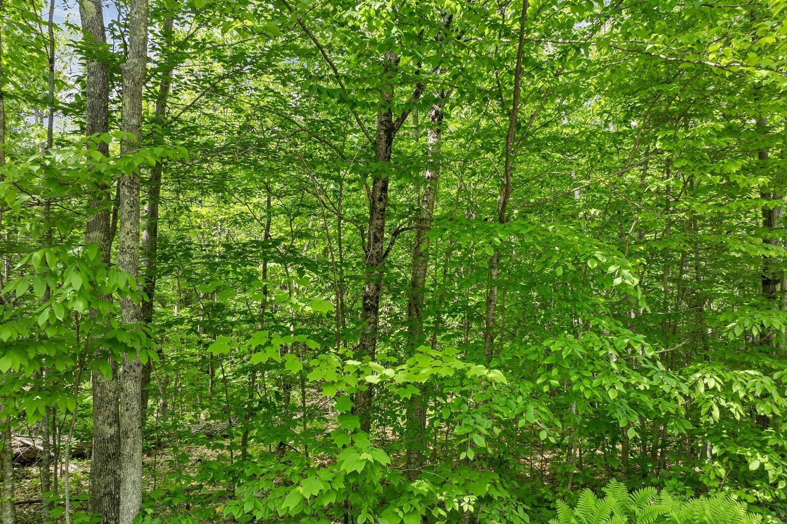 00 Old Mountain Road