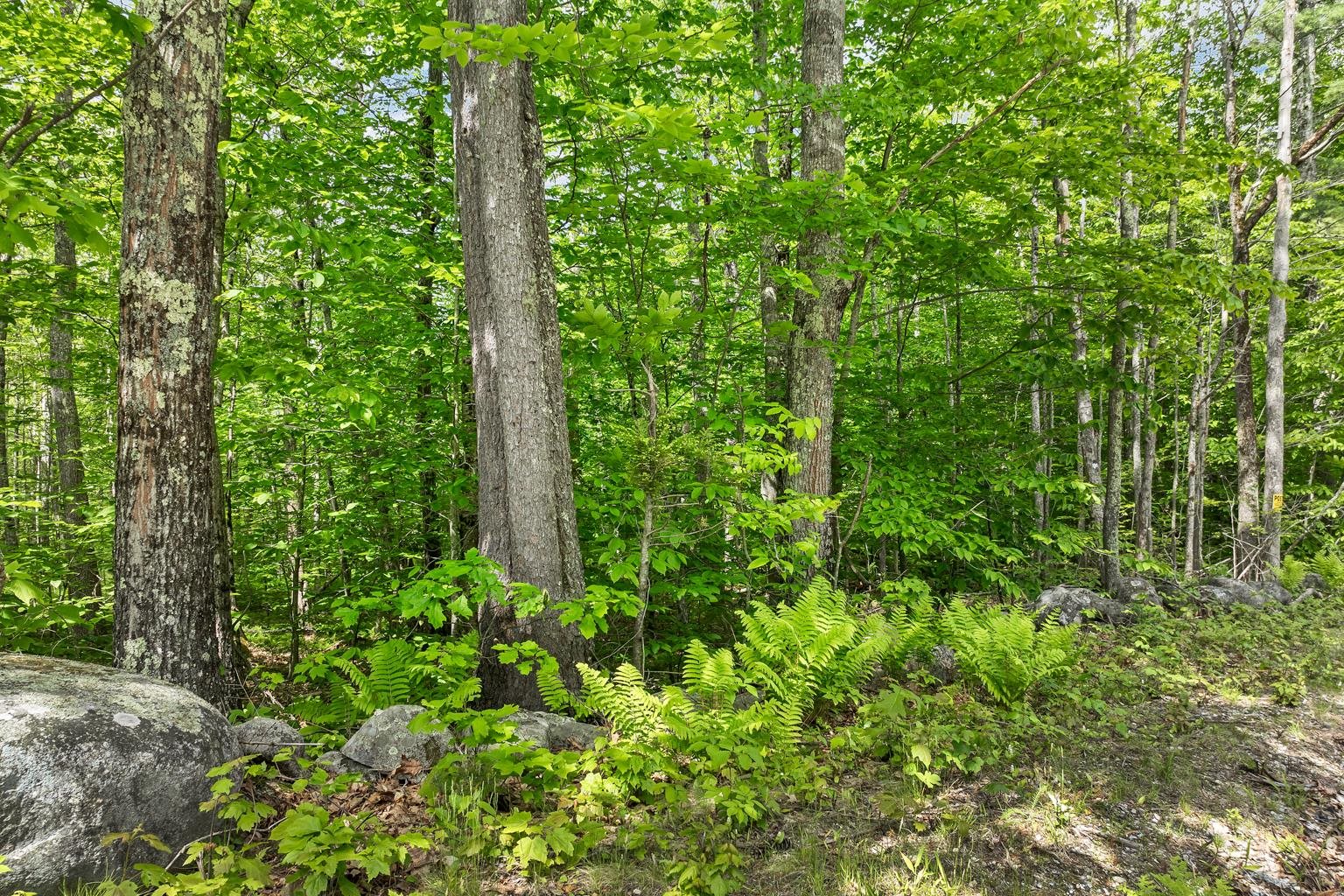 00 Old Mountain Road