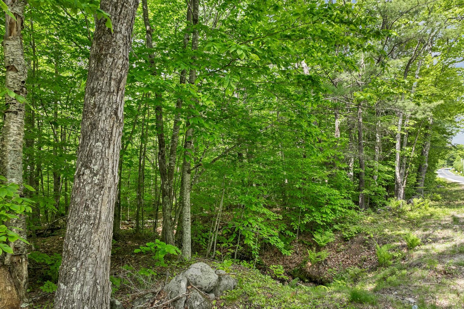 00 Old Mountain Road