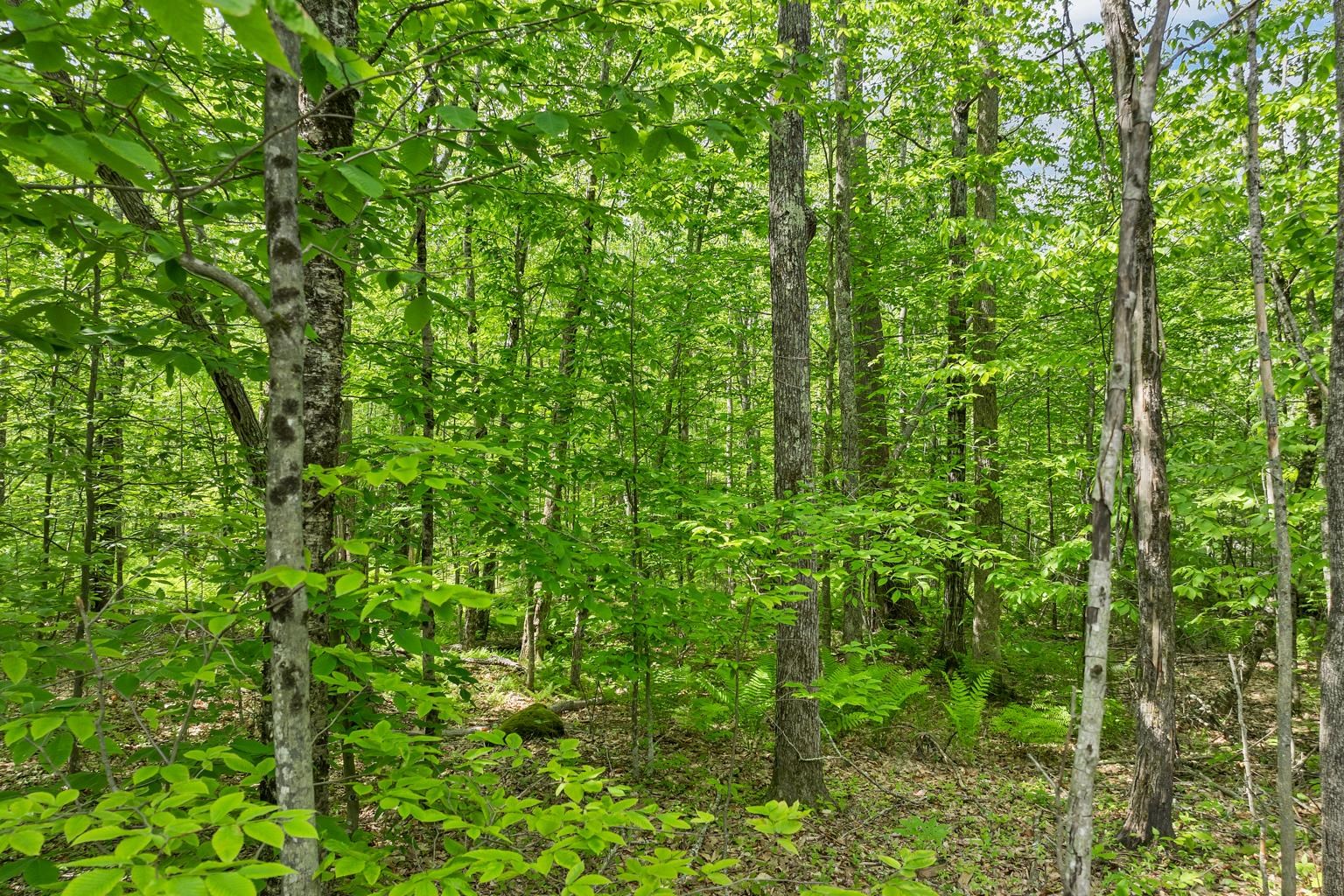 00 Old Mountain Road