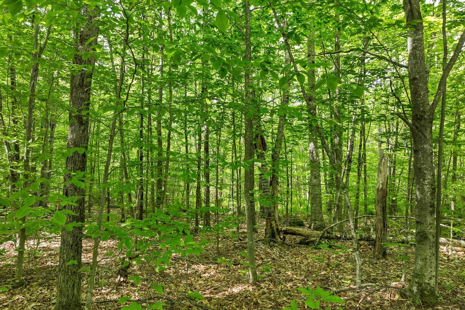 00 Old Mountain Road