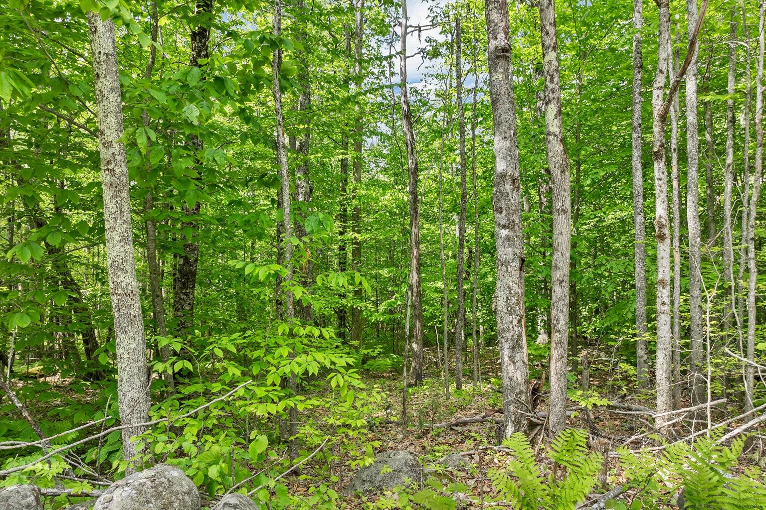 00 Old Mountain Road