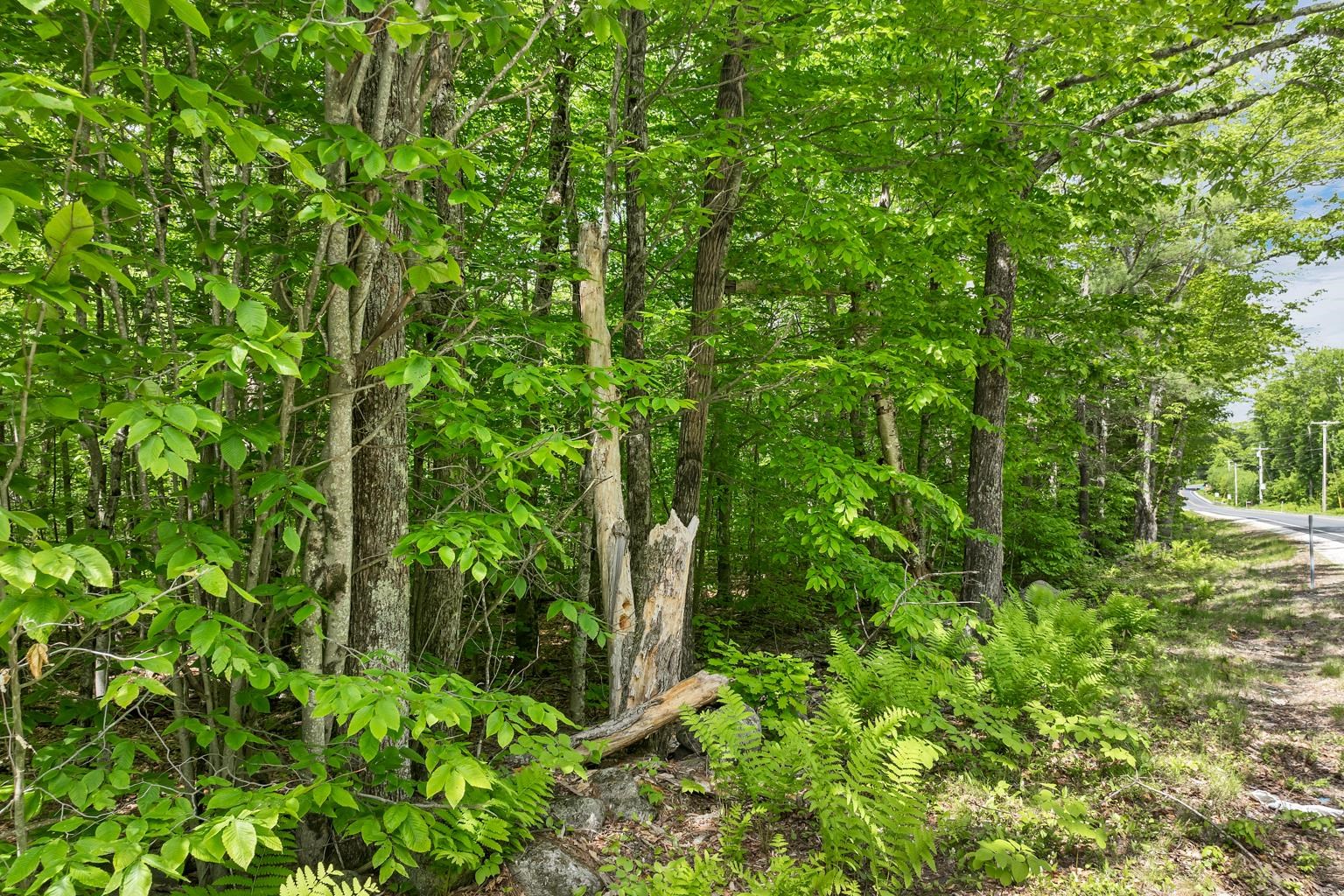 00 Old Mountain Road