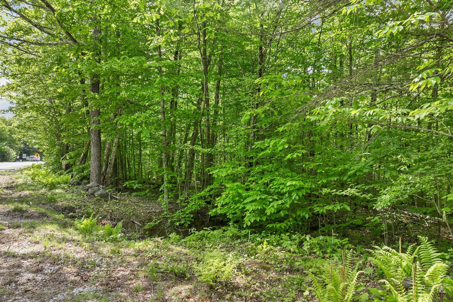 00 Old Mountain Road