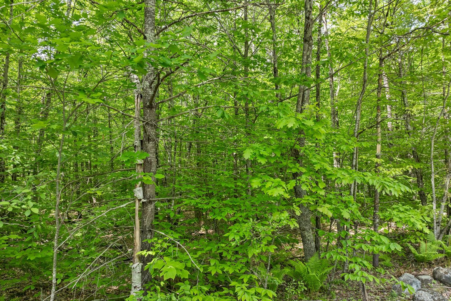 00 Old Mountain Road