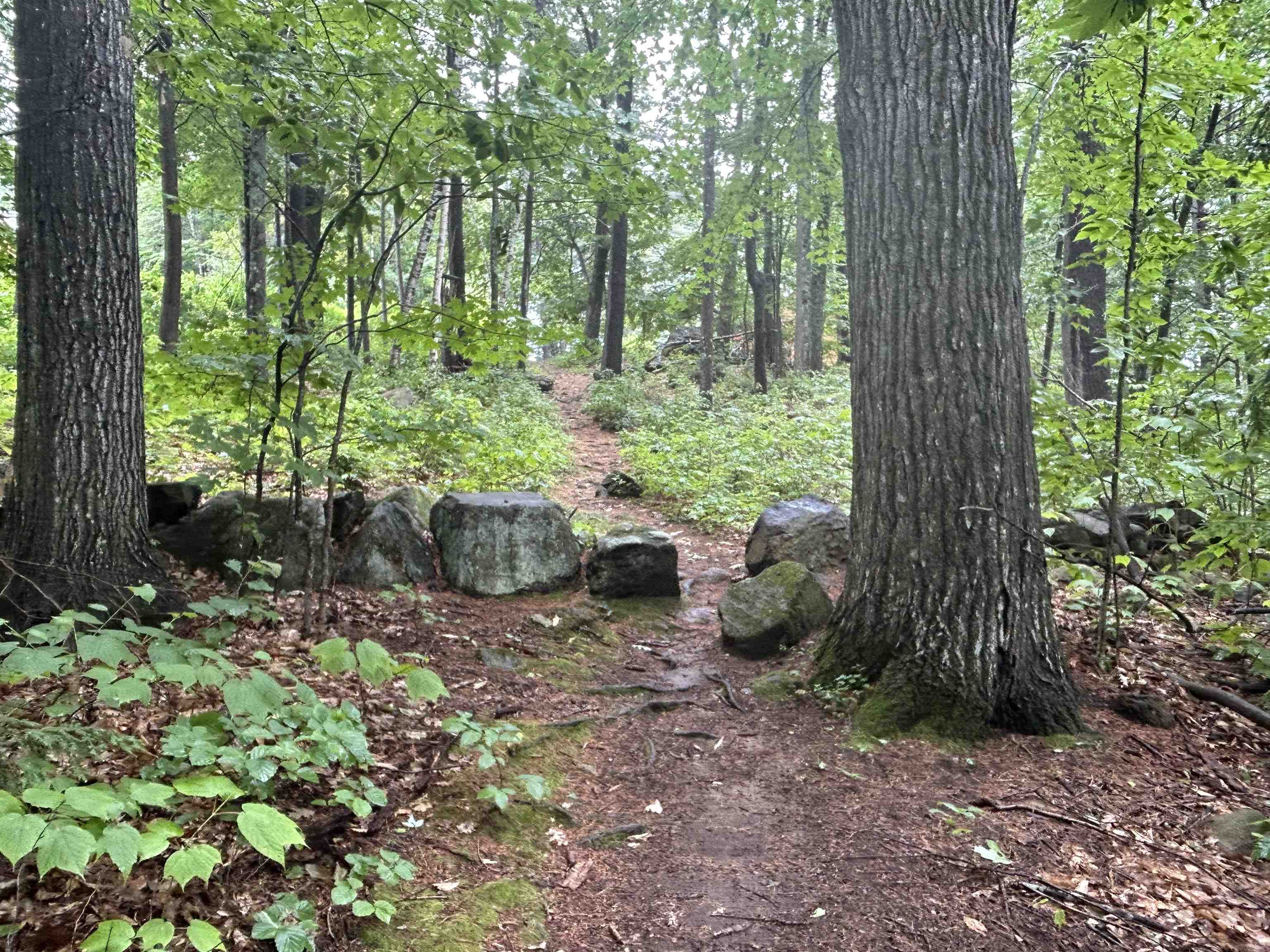 240 Franklin Street Unit: 28