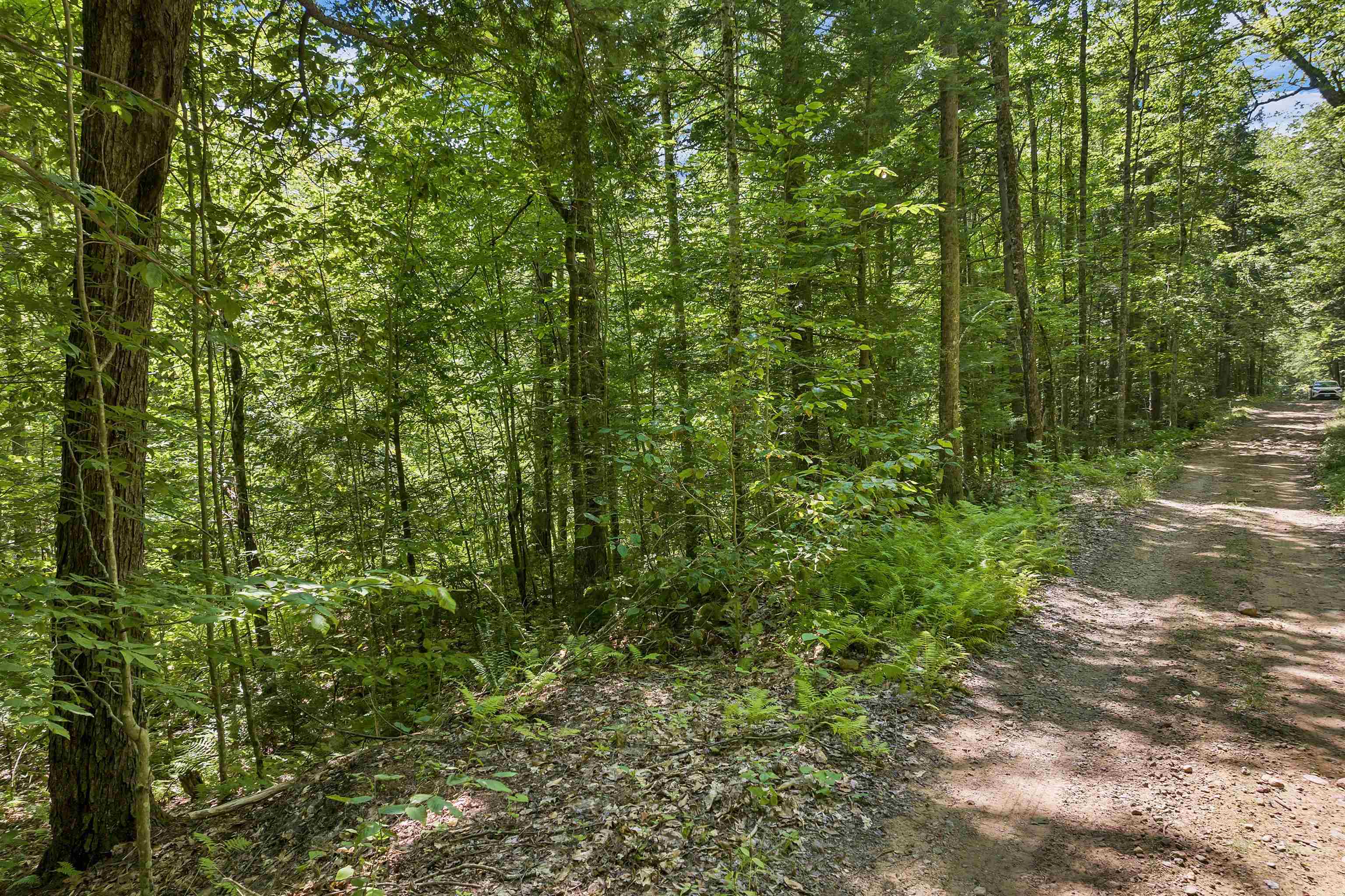 36-3 Checkerberry Lane