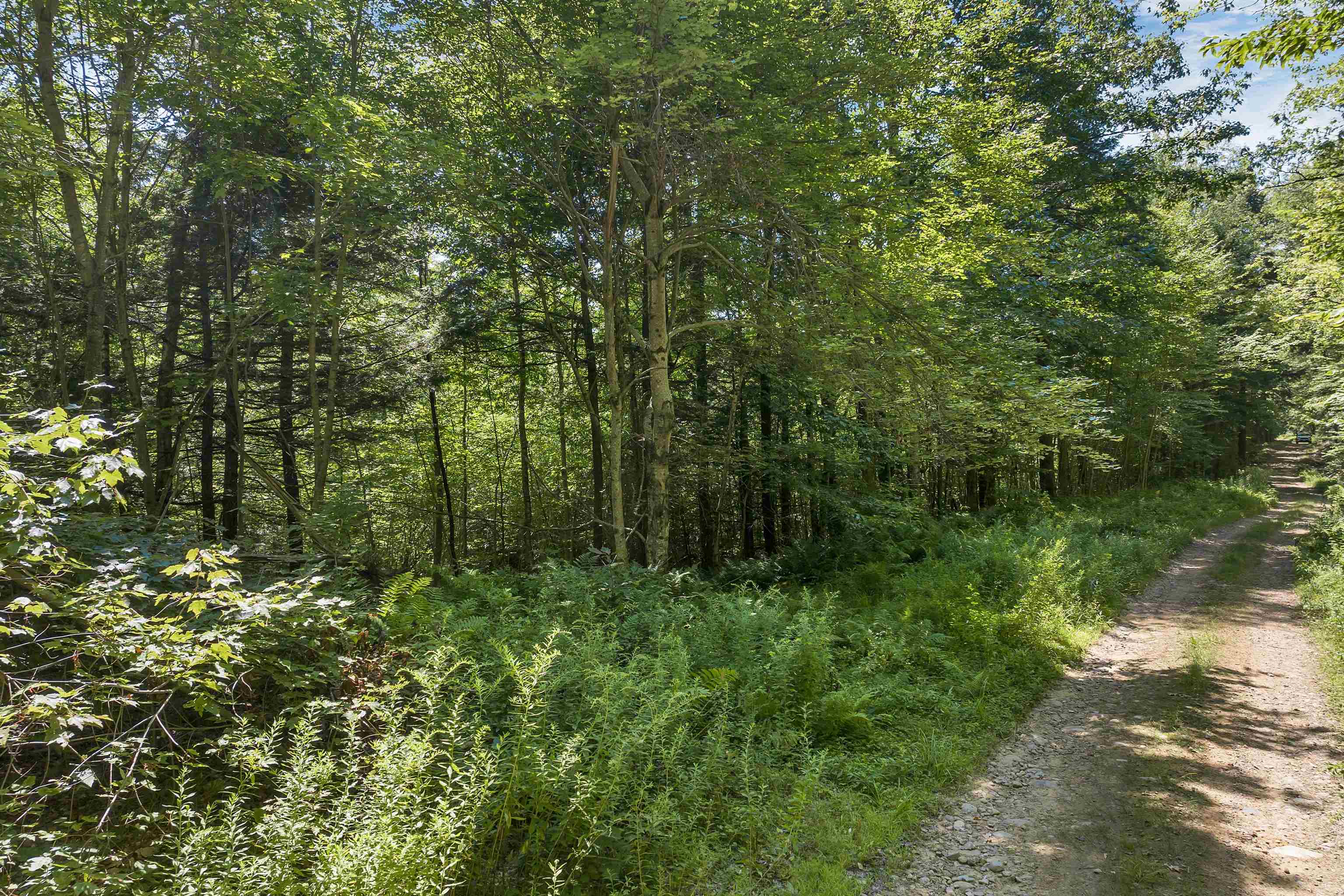 36-3 Checkerberry Lane