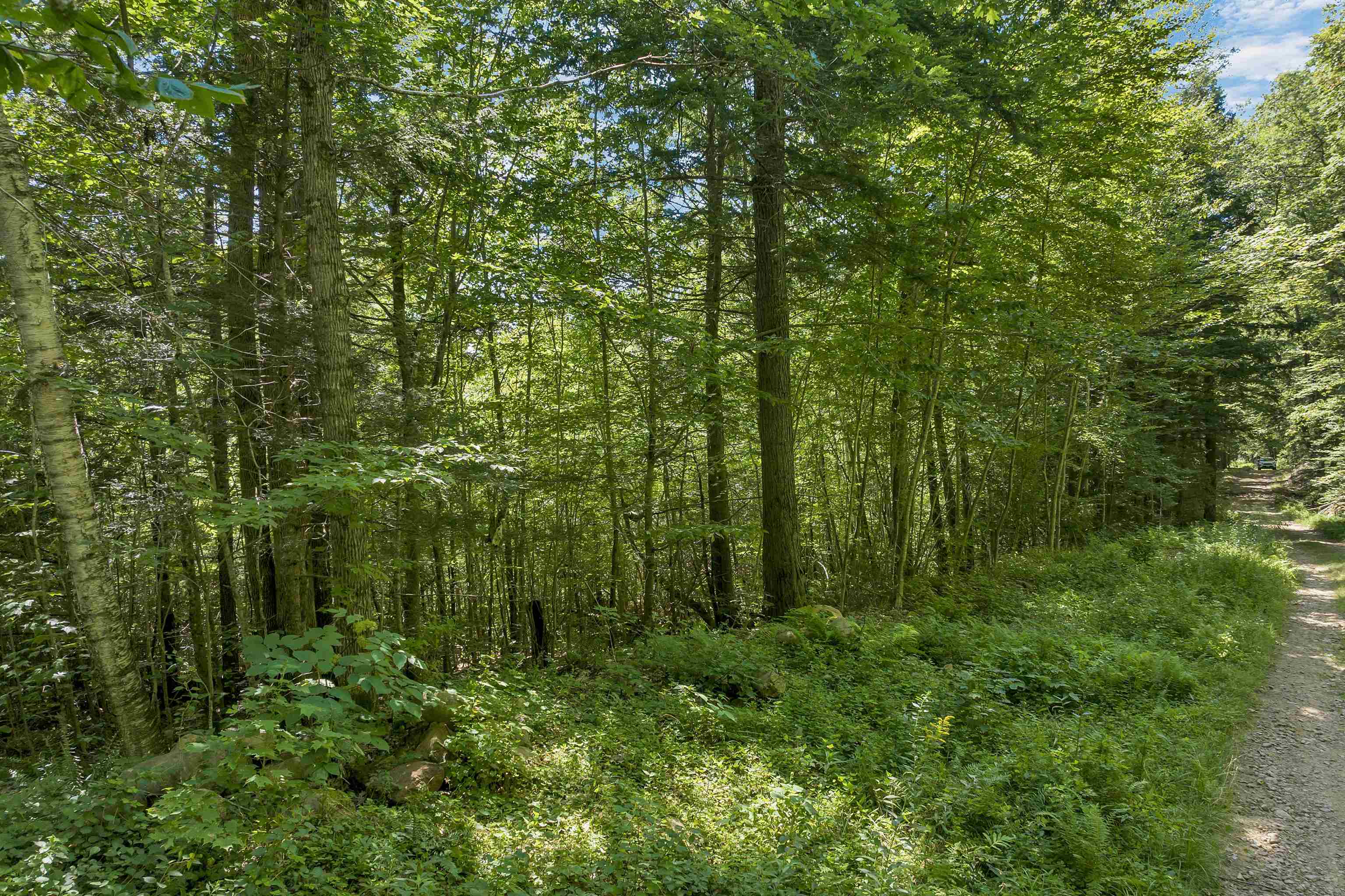 36-3 Checkerberry Lane