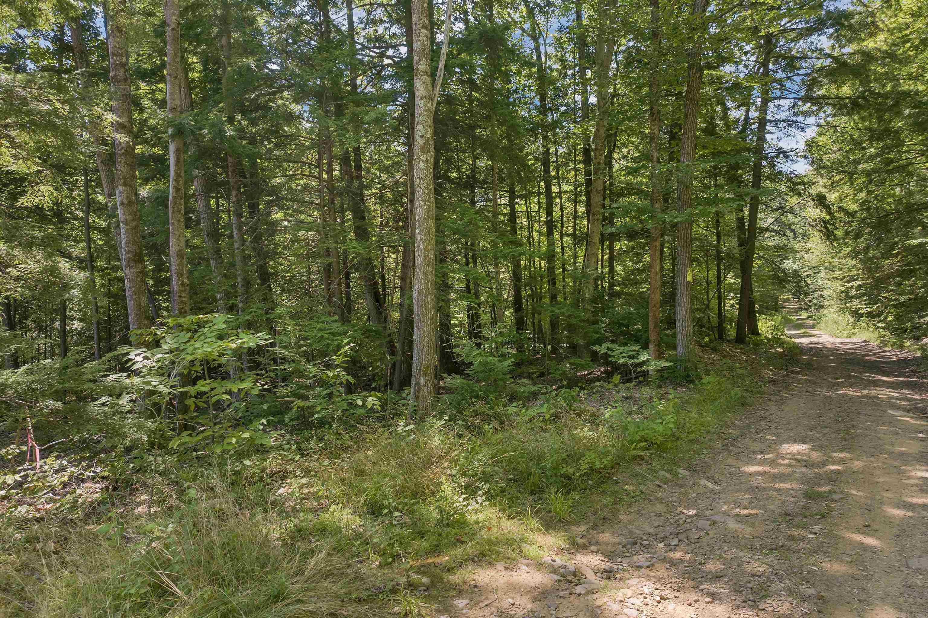 36-3 Checkerberry Lane