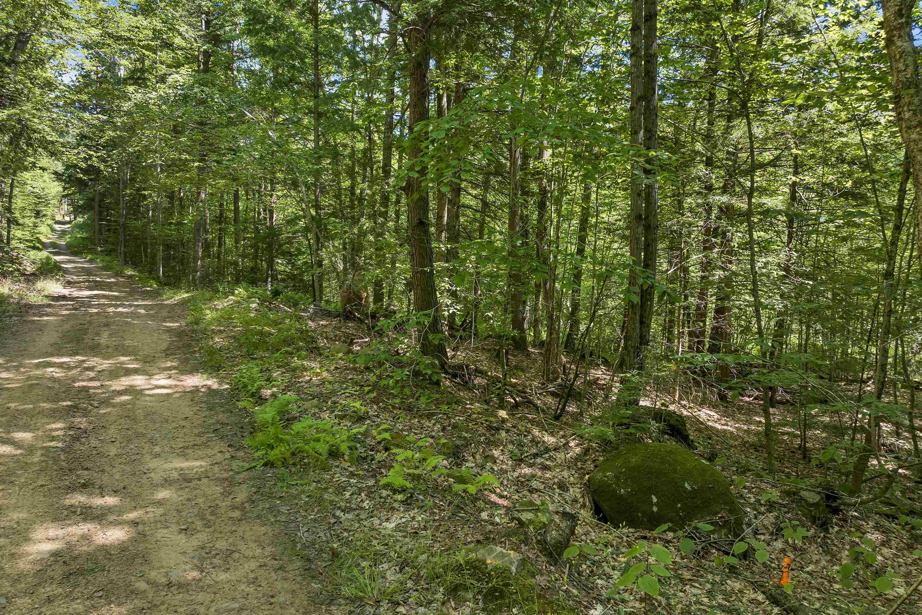 36-3 Checkerberry Lane