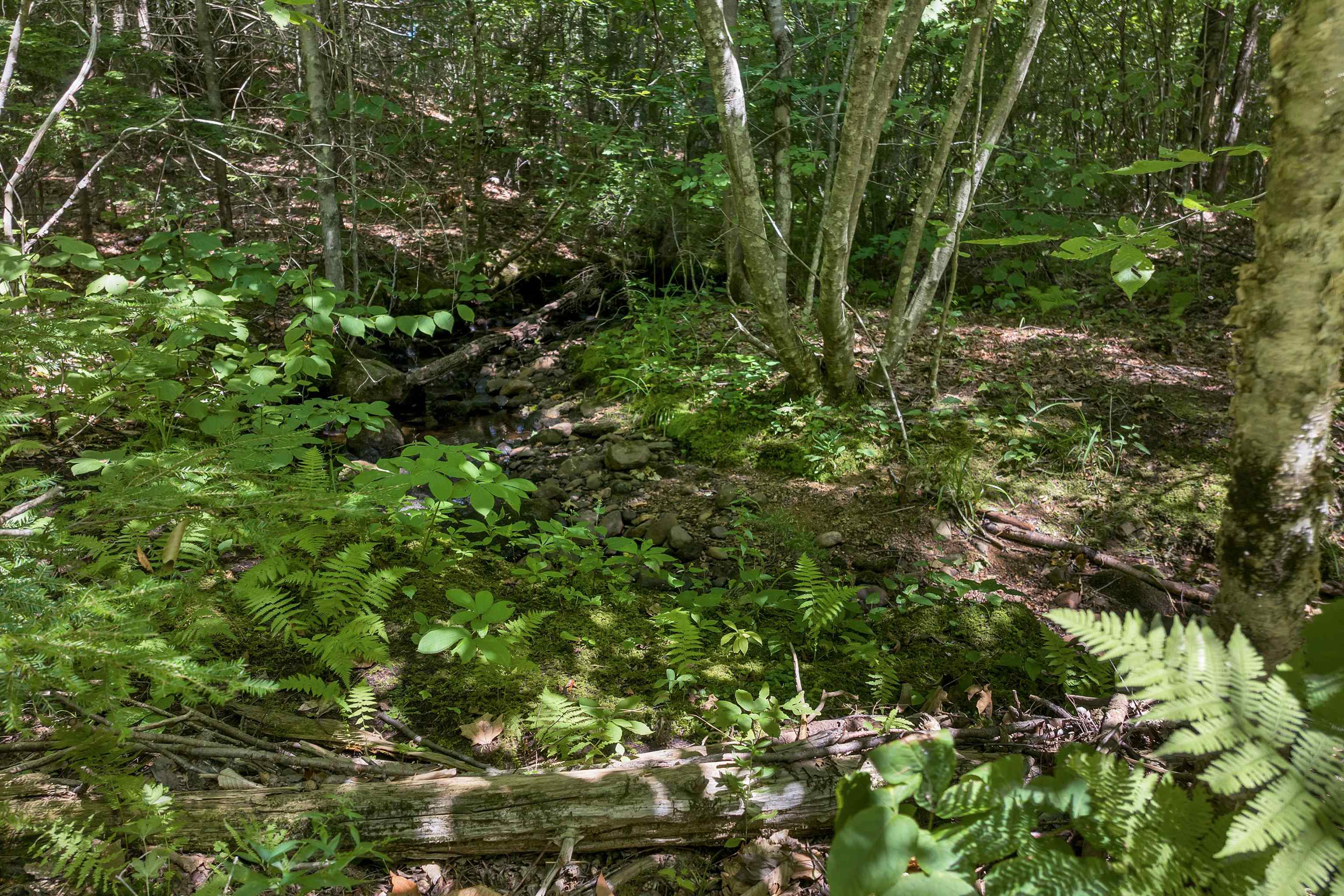 36-3 Checkerberry Lane