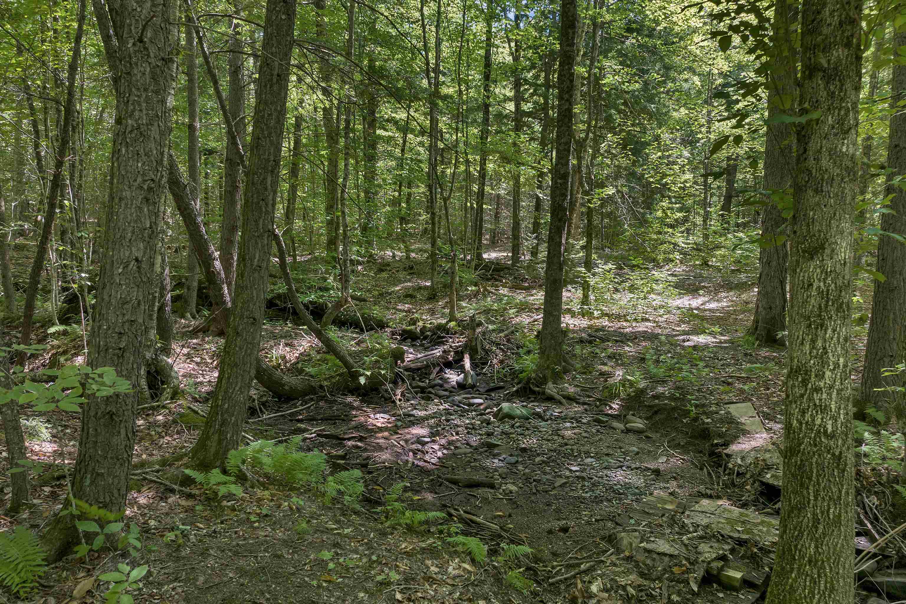 36-3 Checkerberry Lane