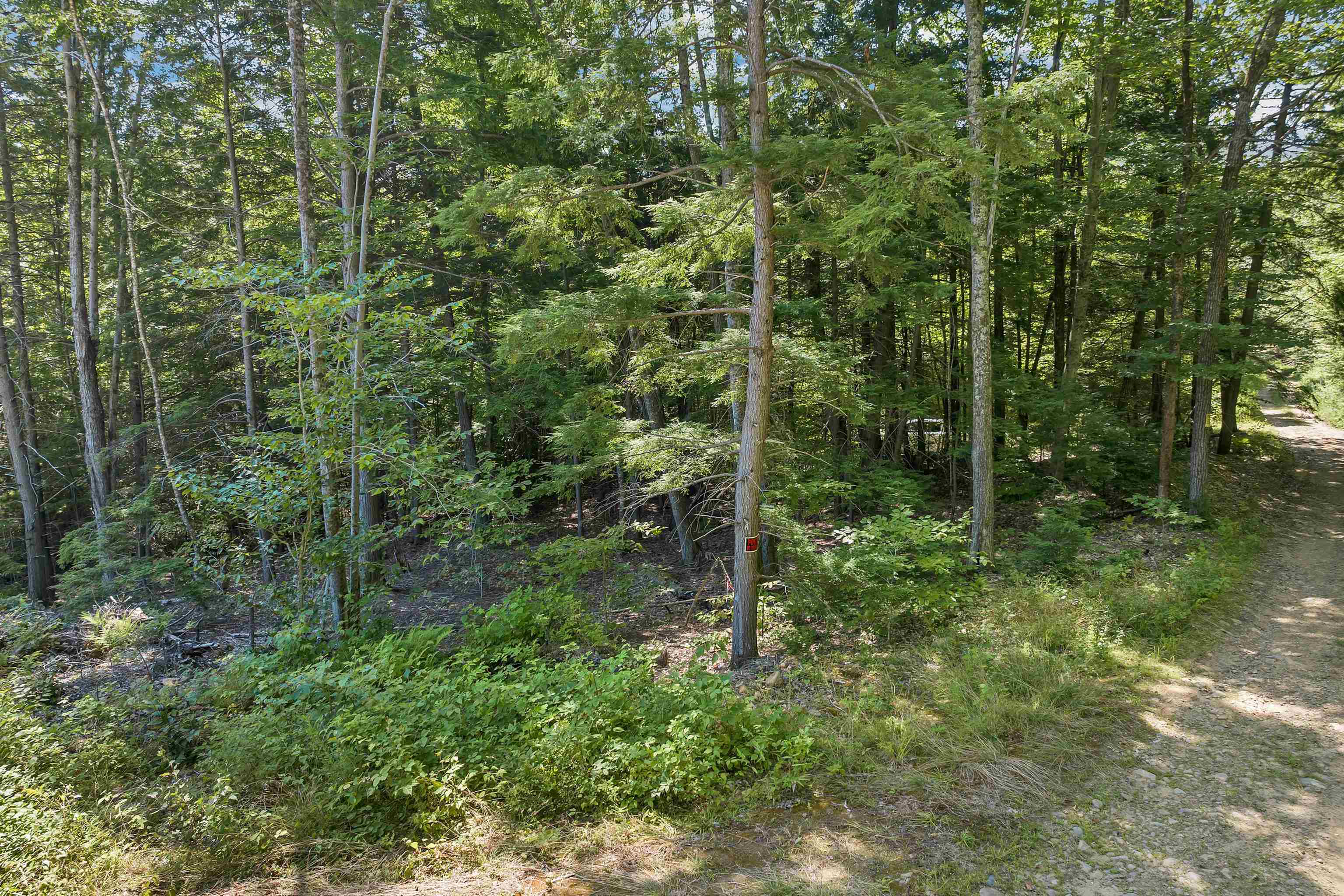 36-3 Checkerberry Lane