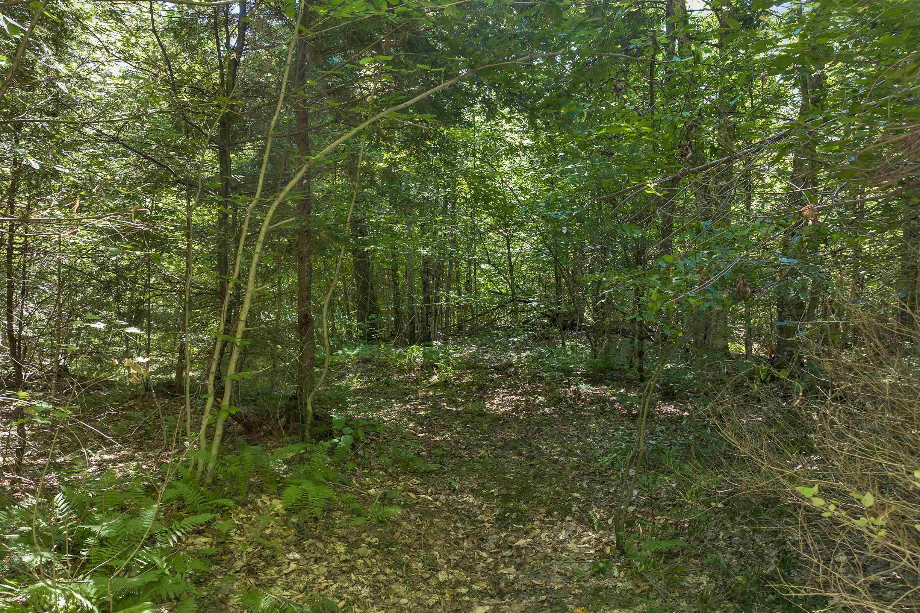 36-3 Checkerberry Lane