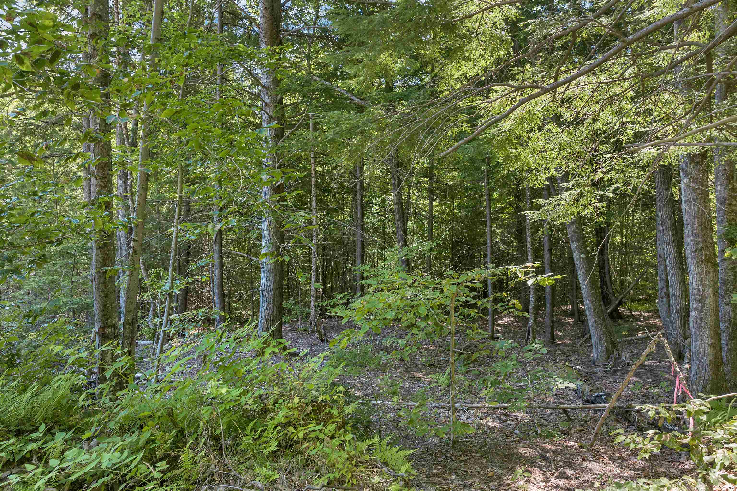 36-3 Checkerberry Lane