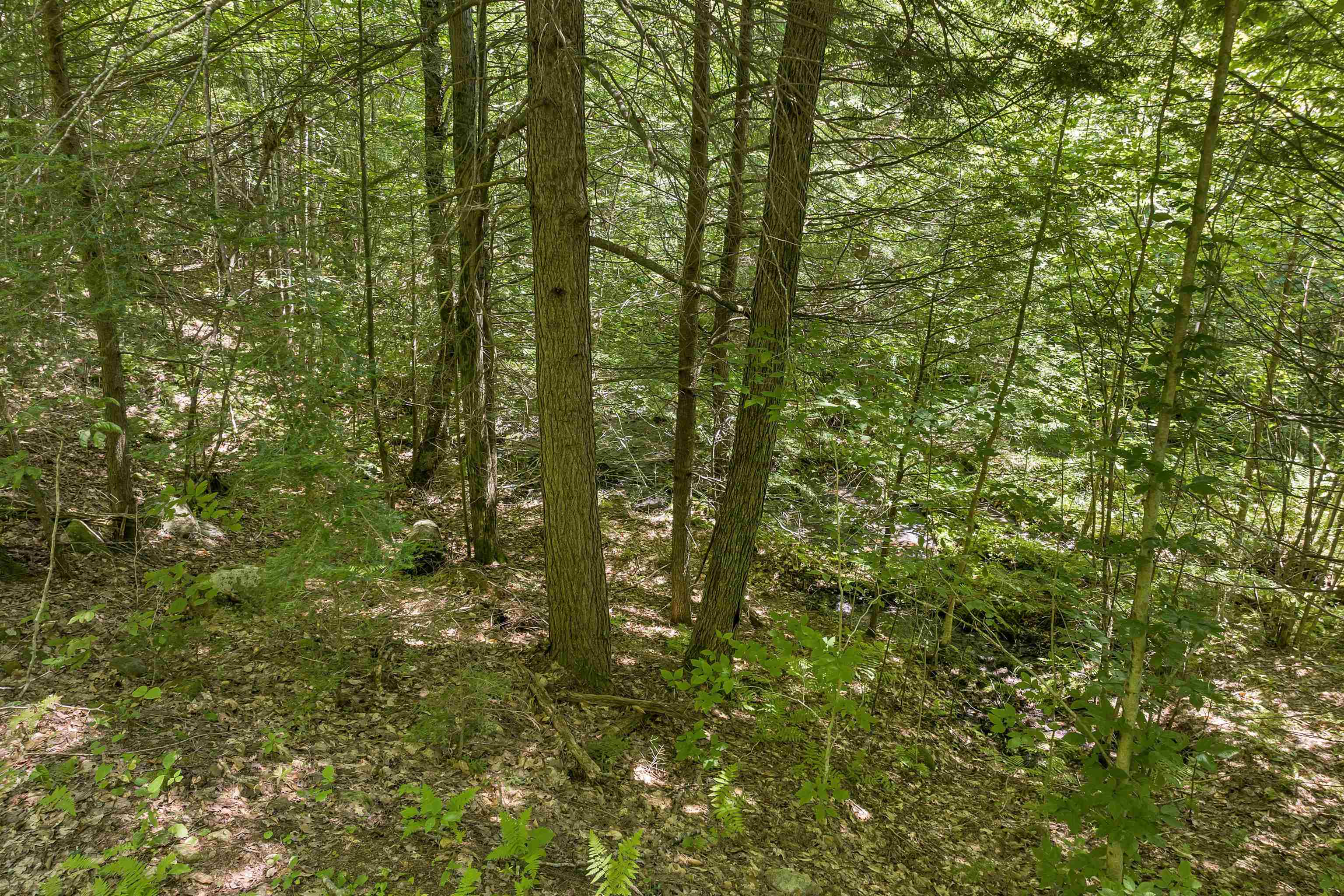 36-3 Checkerberry Lane