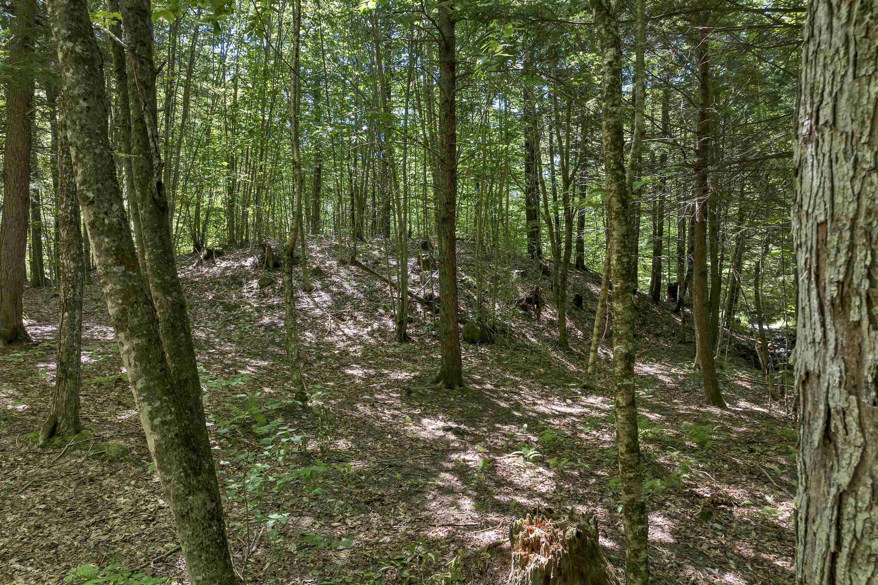 36-3 Checkerberry Lane