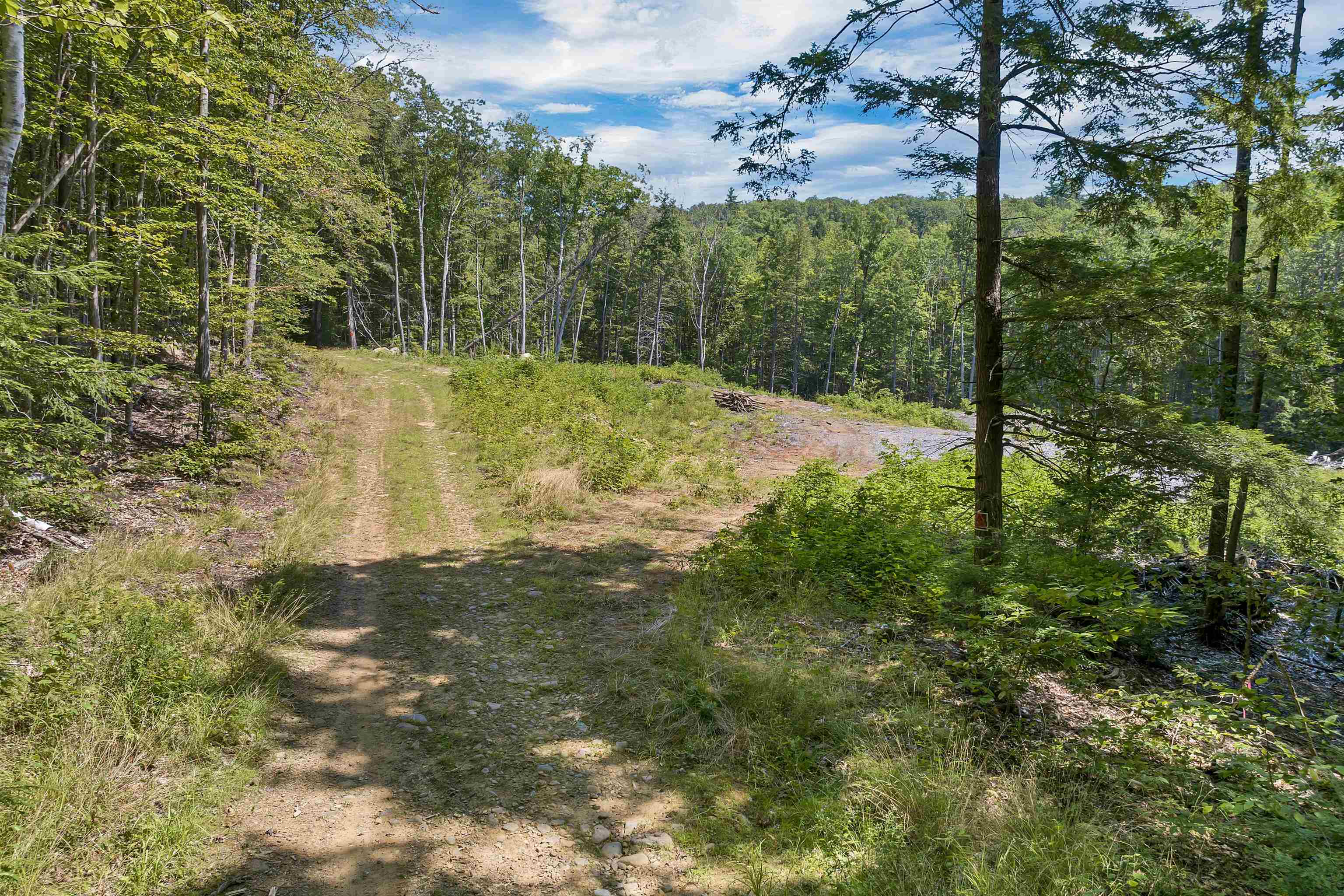 36-3 Checkerberry Lane