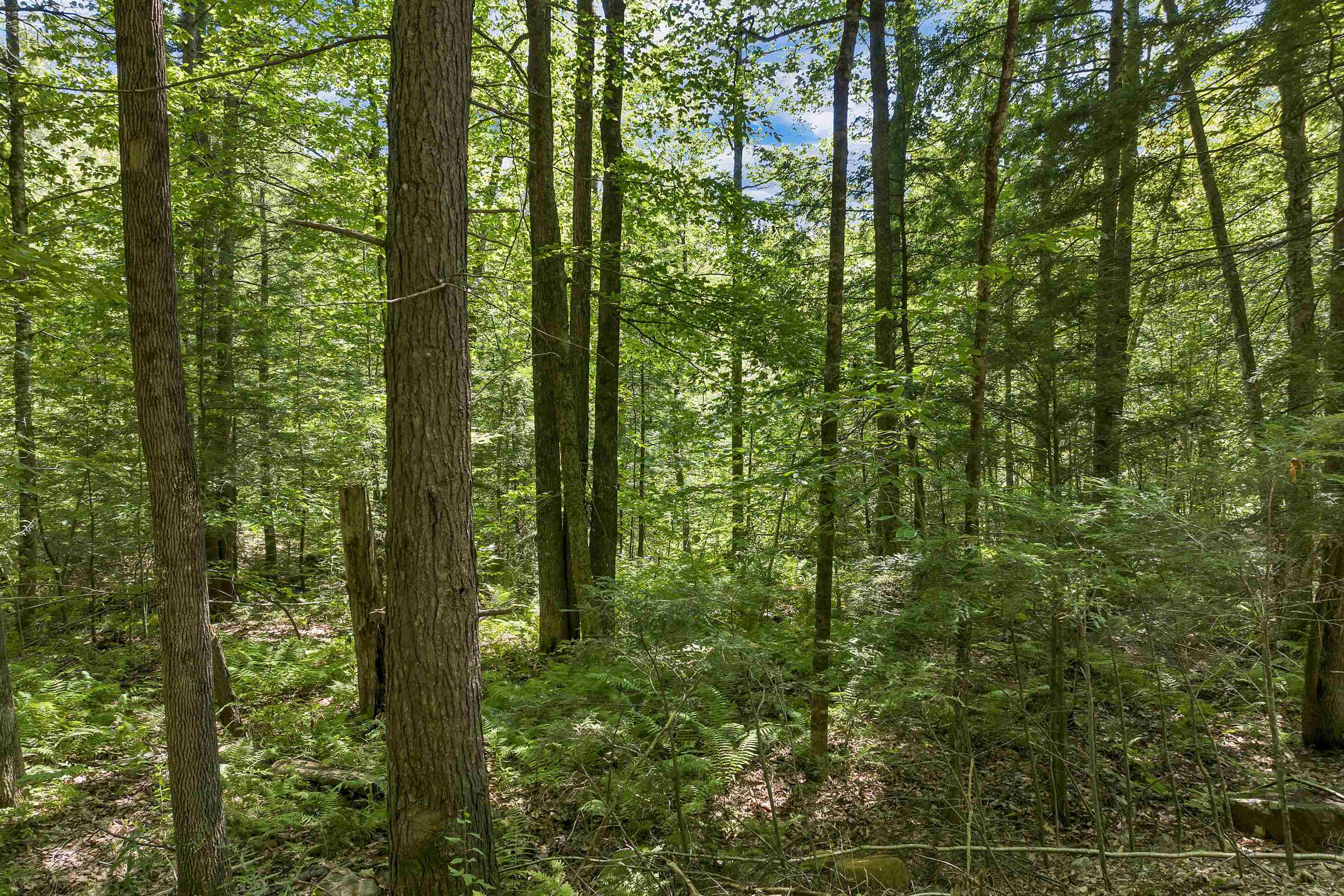 36-3 Checkerberry Lane