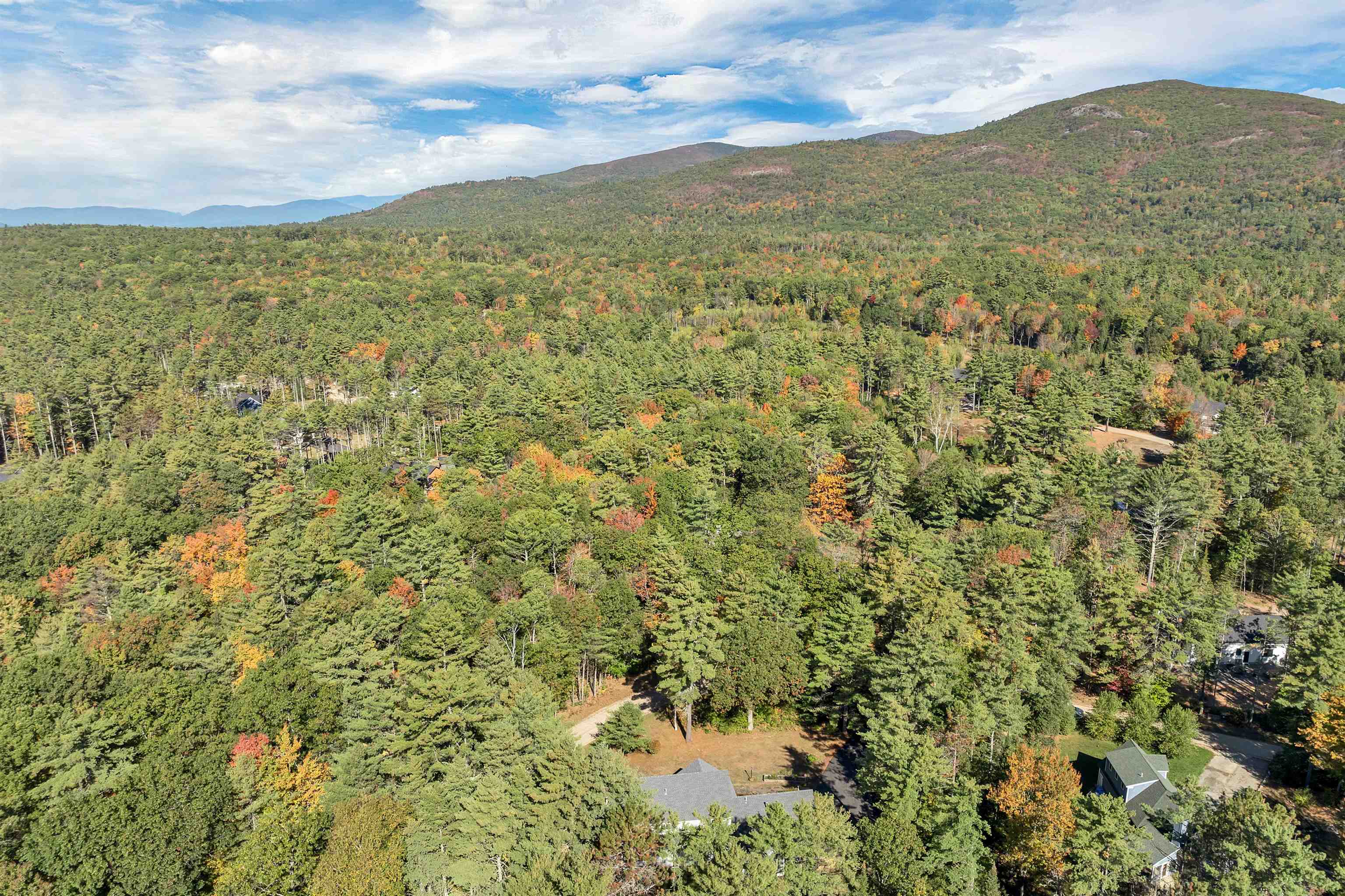 4 Partridgeberry Cir