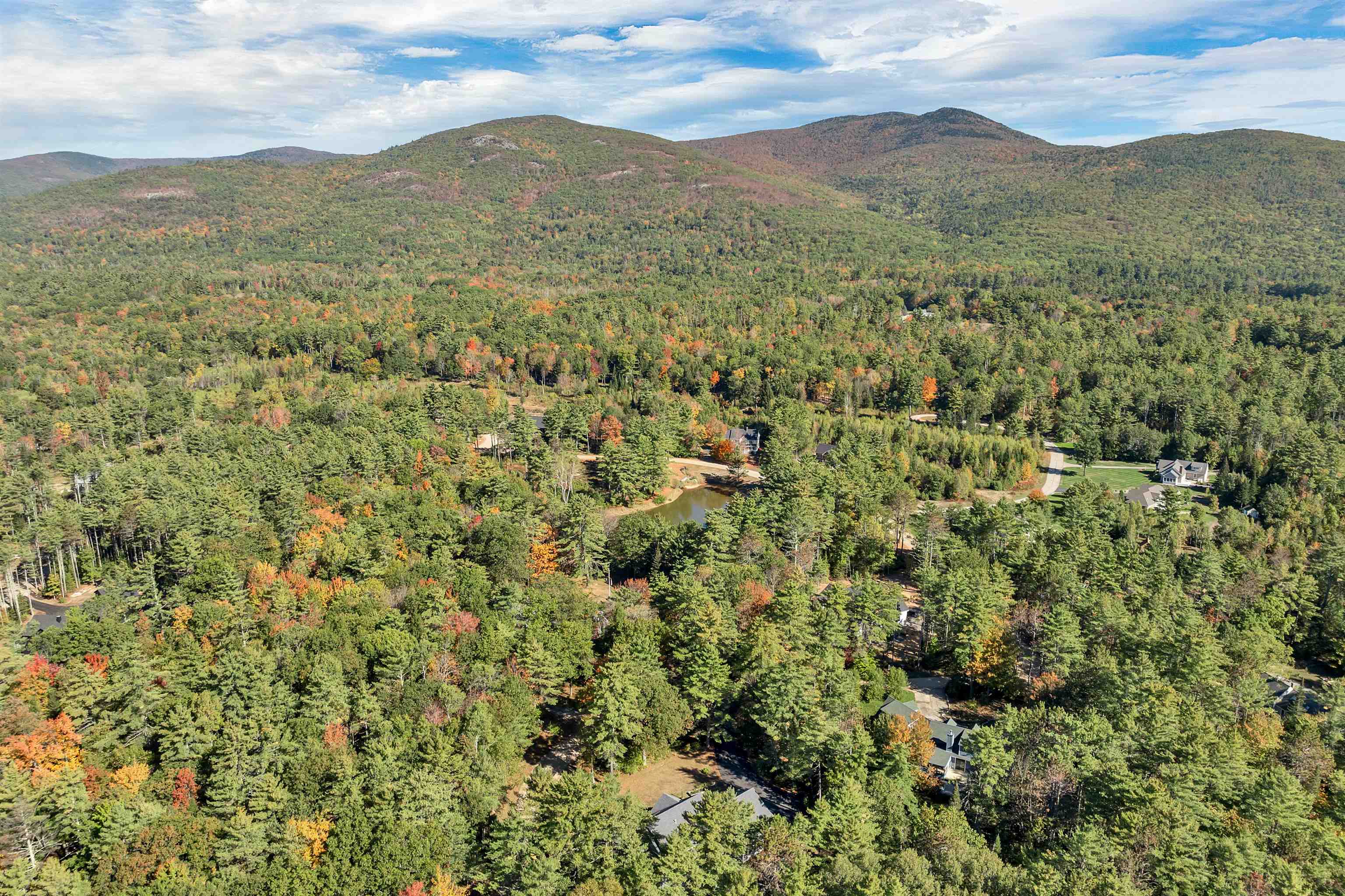 4 Partridgeberry Cir