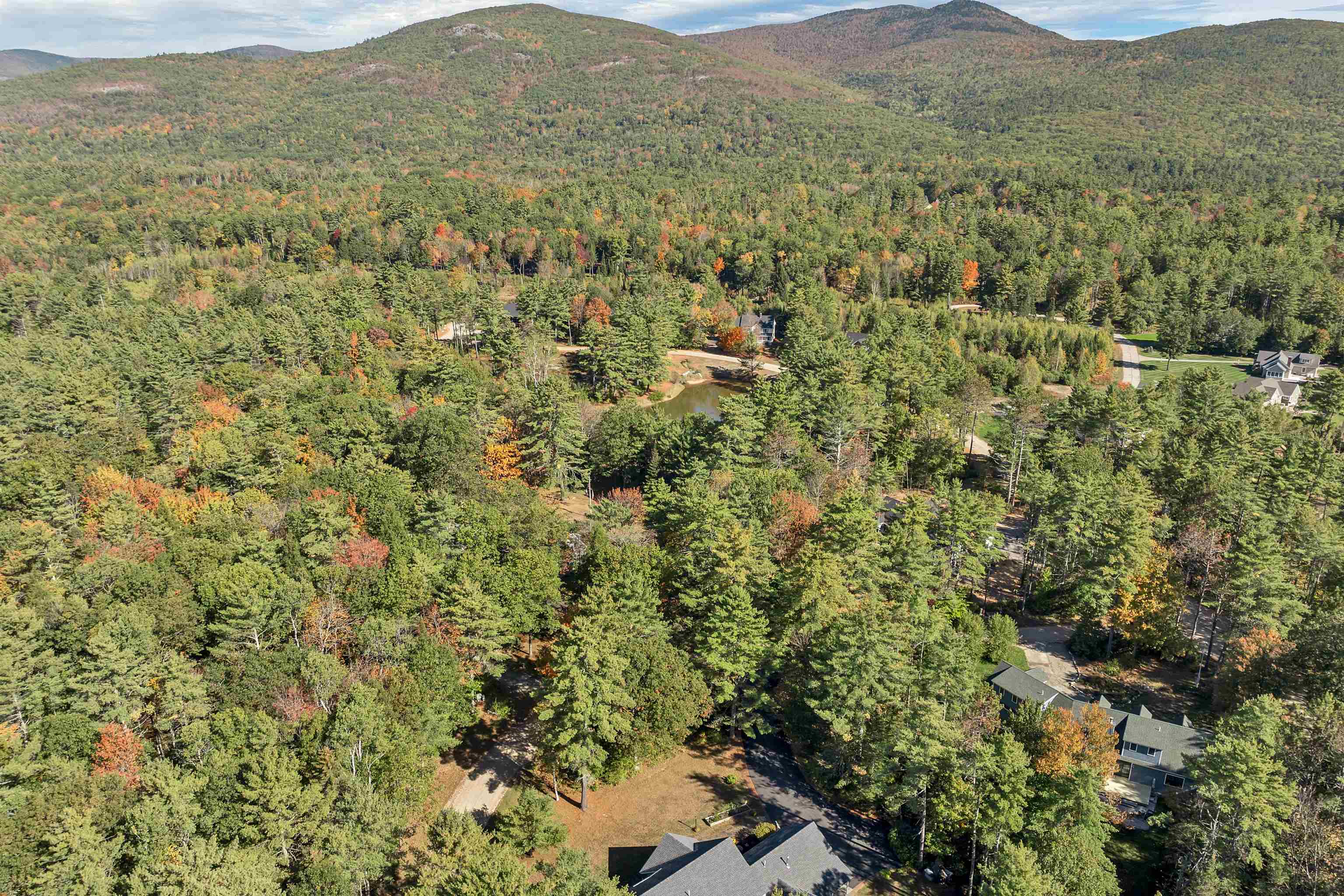 4 Partridgeberry Cir