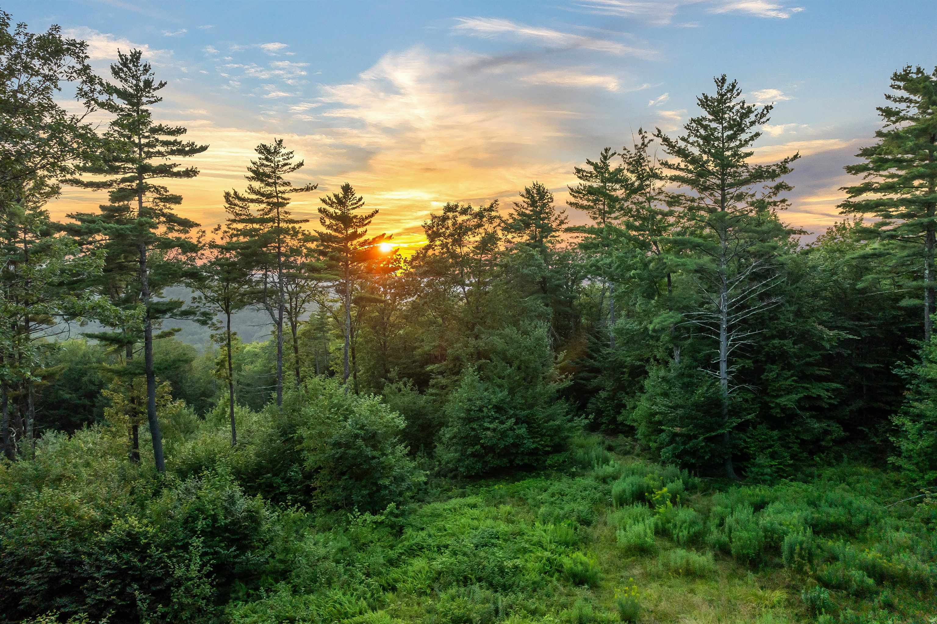 00 Pinnacle Ridge Road