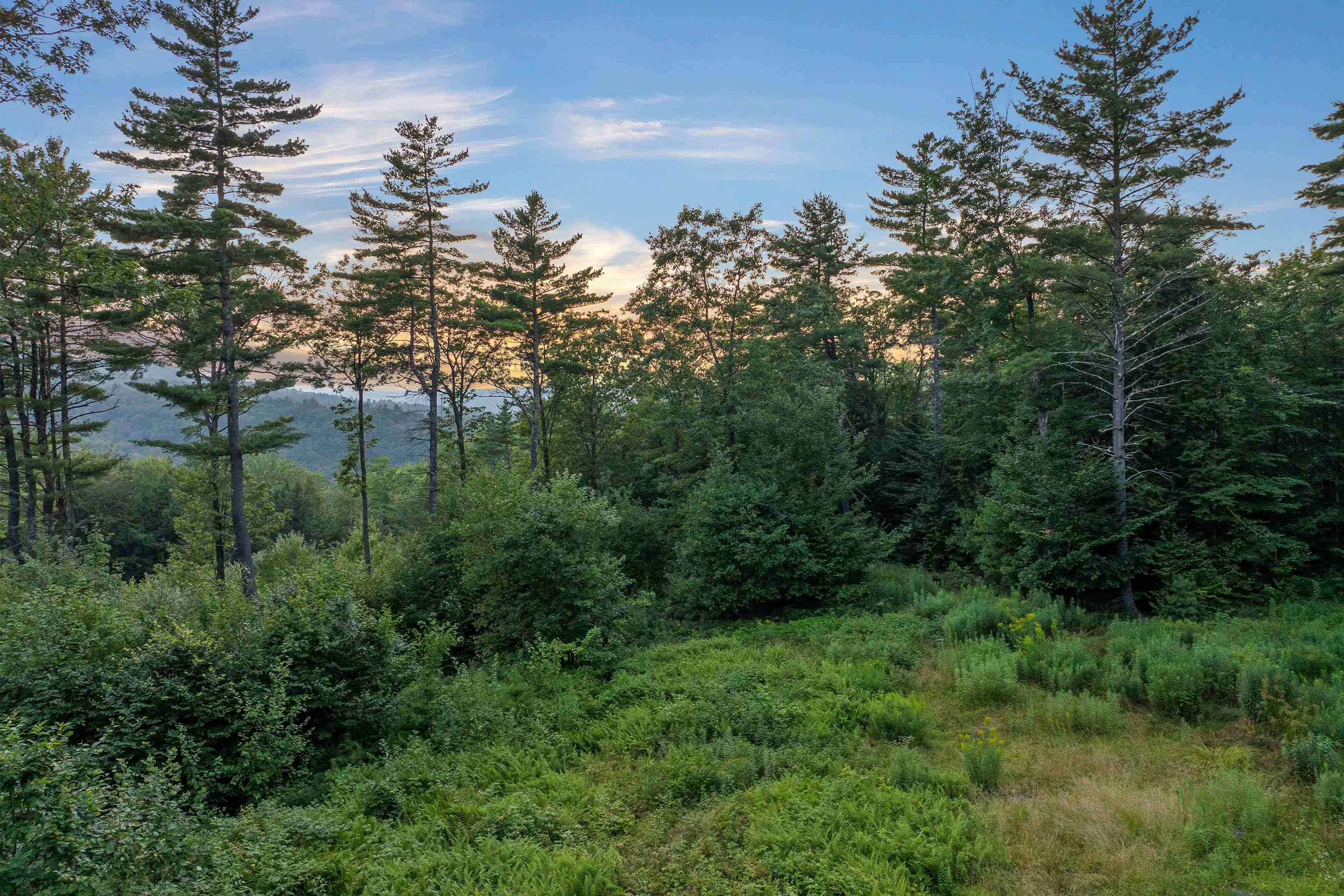 00 Pinnacle Ridge Road