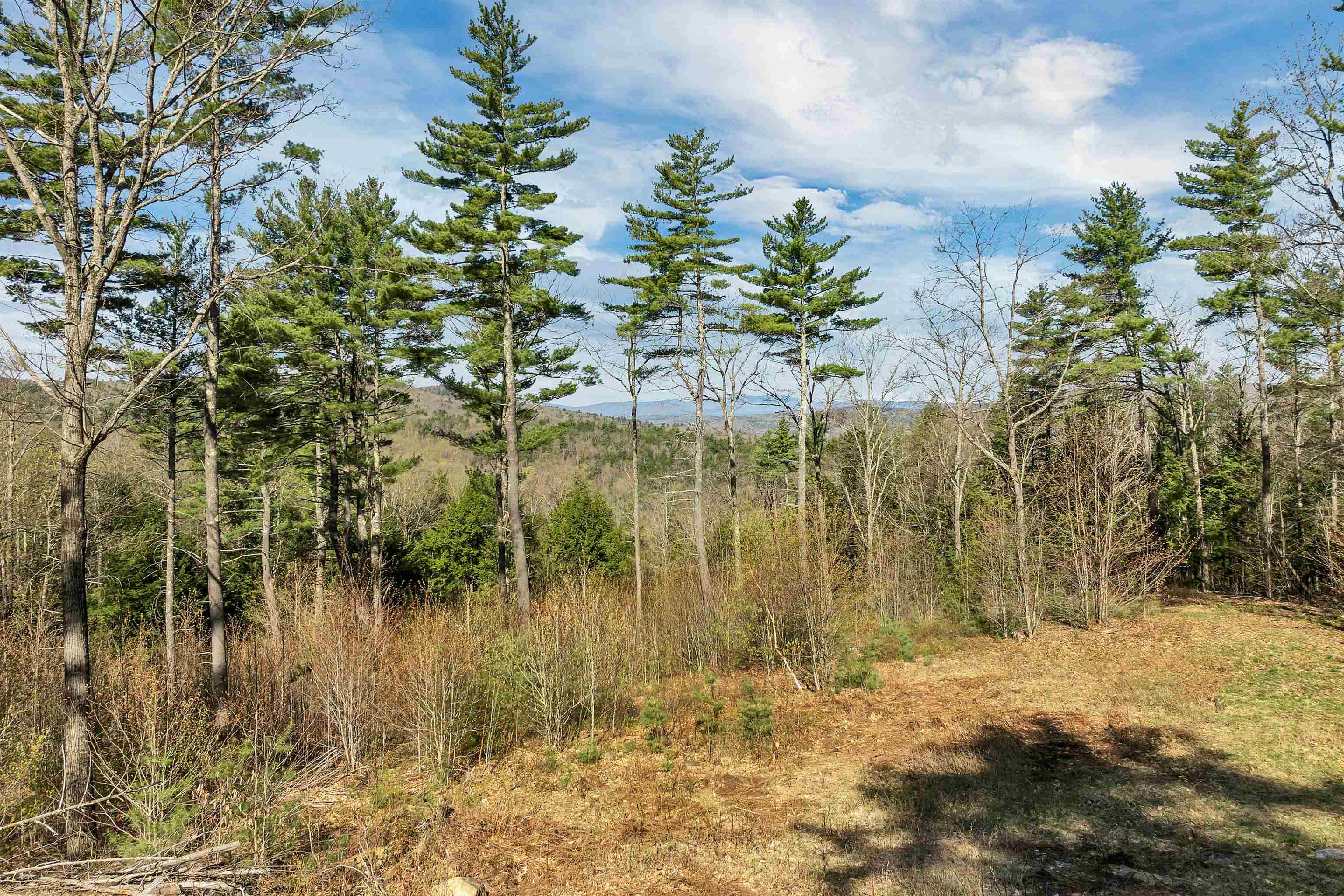 00 Pinnacle Ridge Road